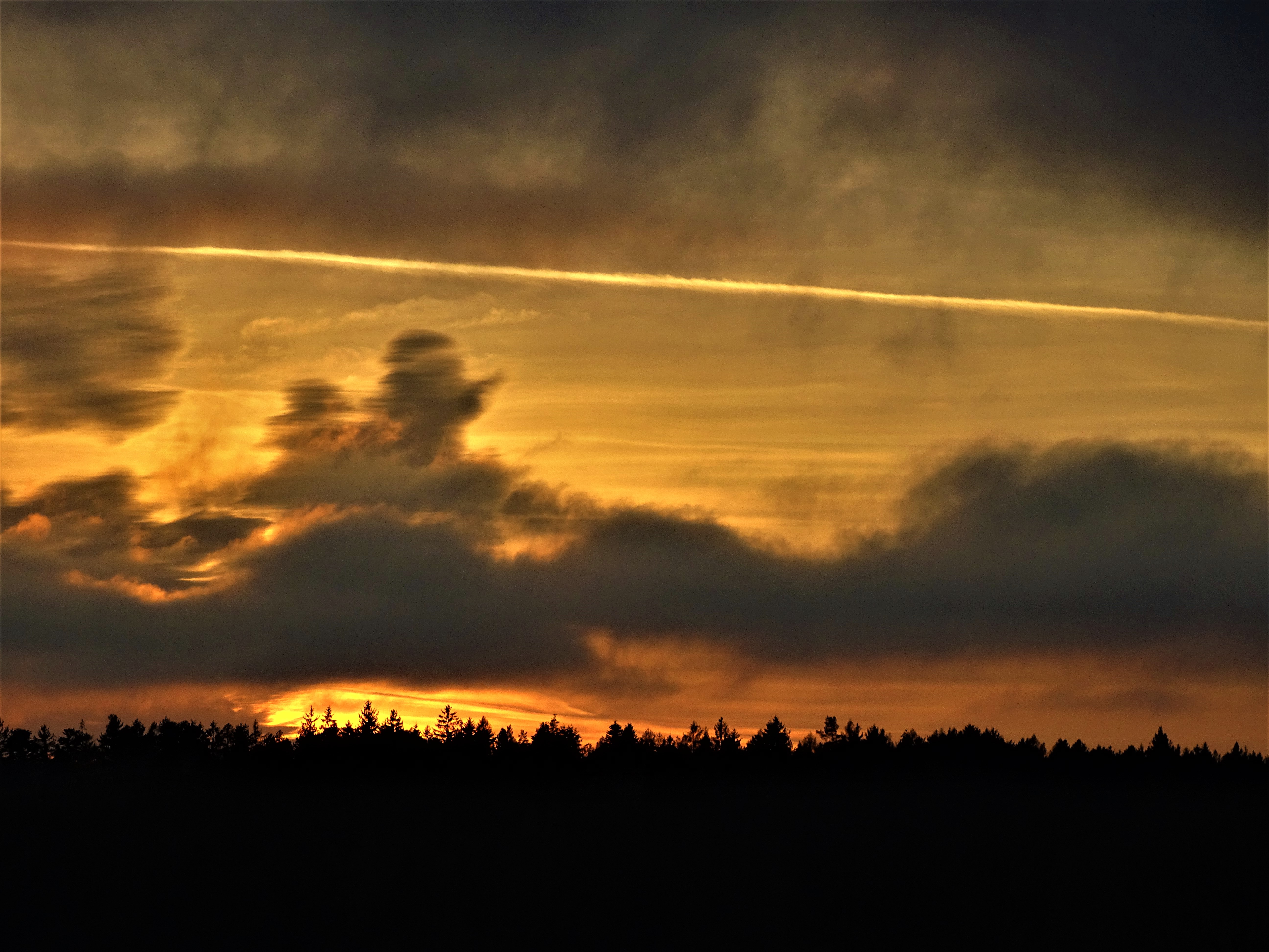 Schellenberg-Innebene-Fotos-Nadia-Baumgart