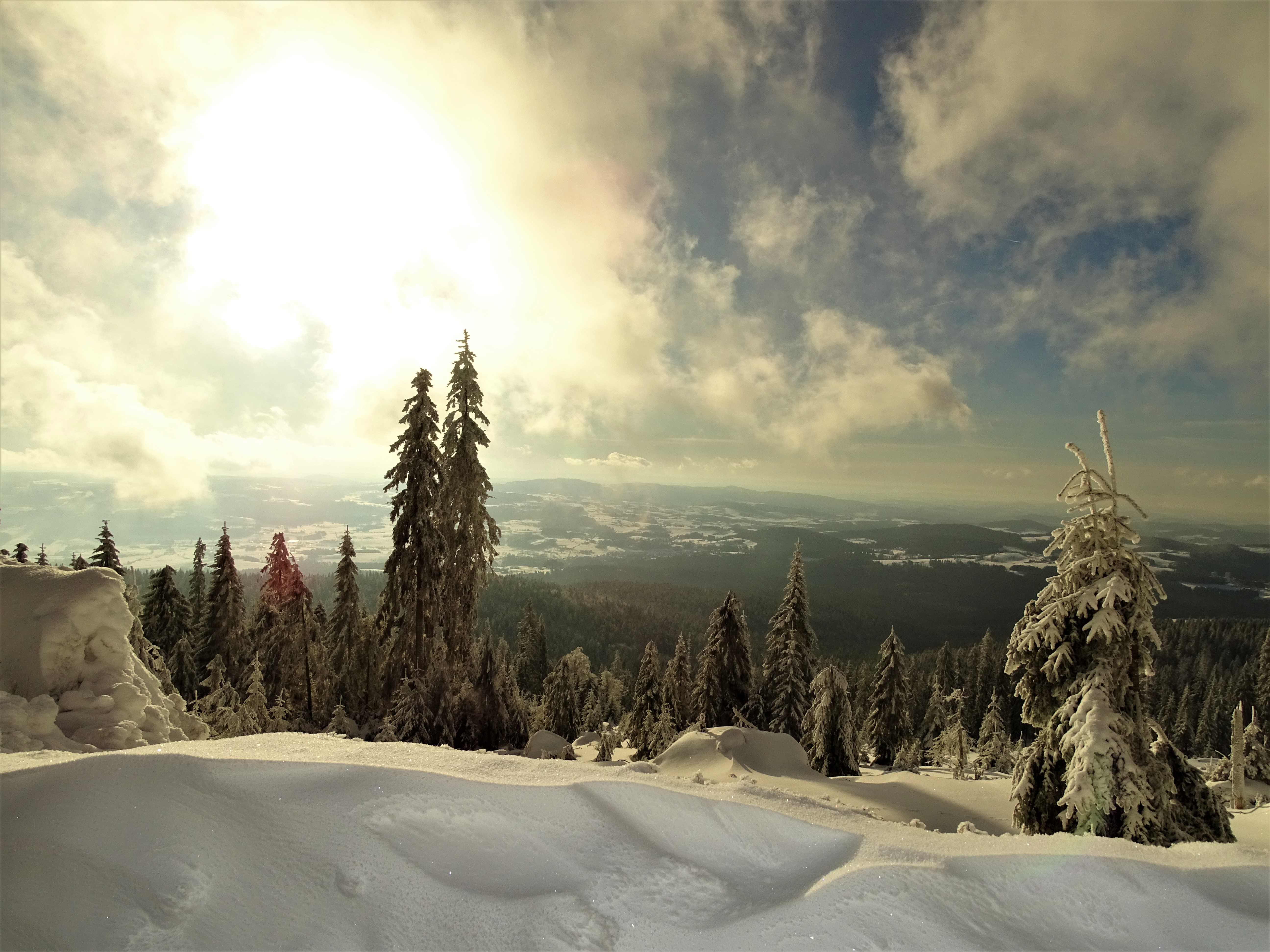 2-Dreissel-im-Winter-Foto-Nadia-Baumgart