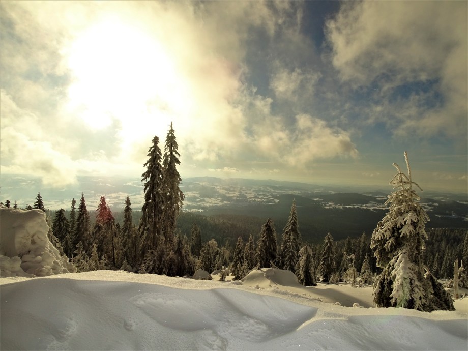 2-Dreissel-im-Winter-Foto-Nadia-Baumgart