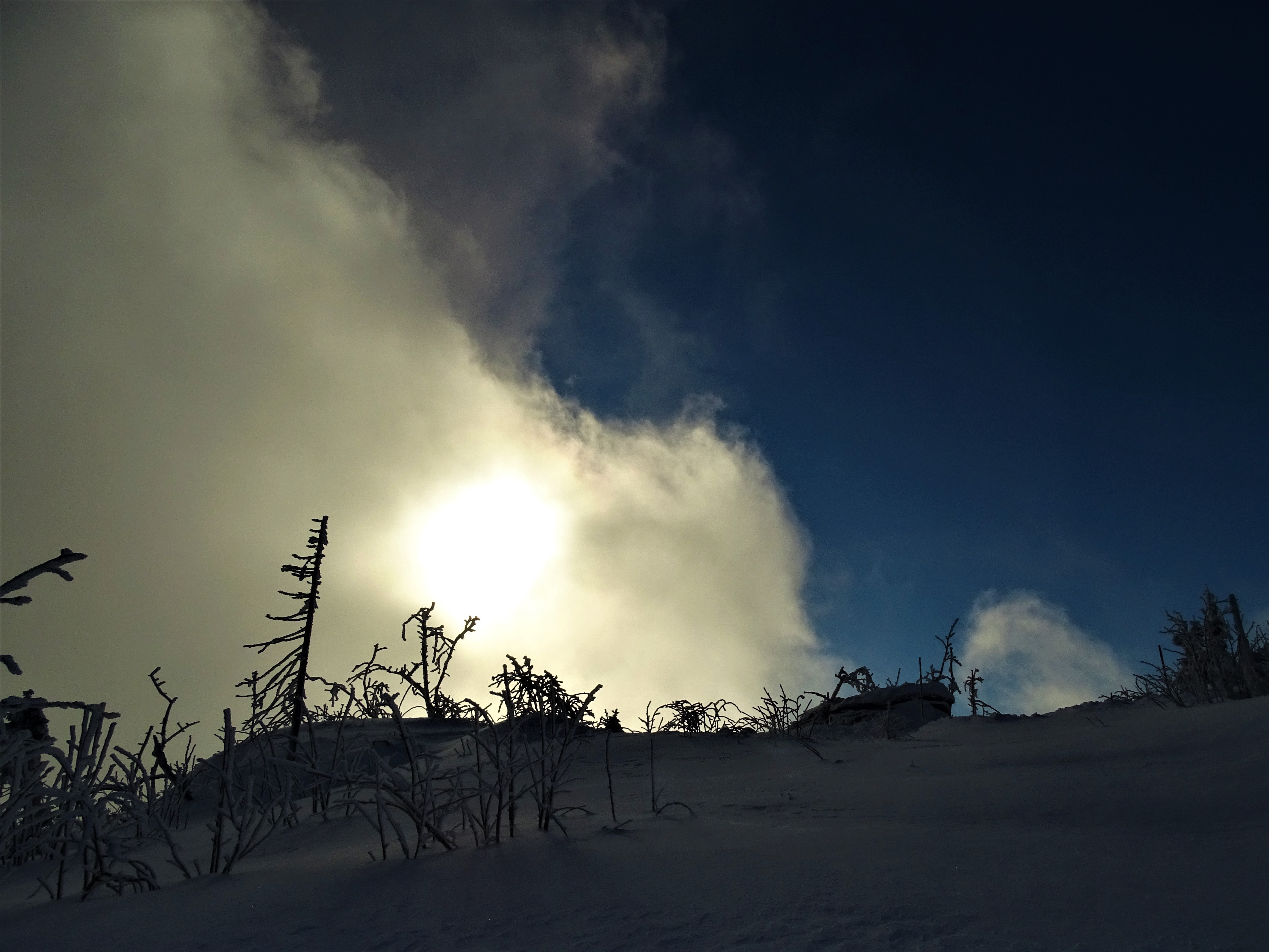 3-Dreisessel-Bayerischer-Wald-Nadia-Baumgart