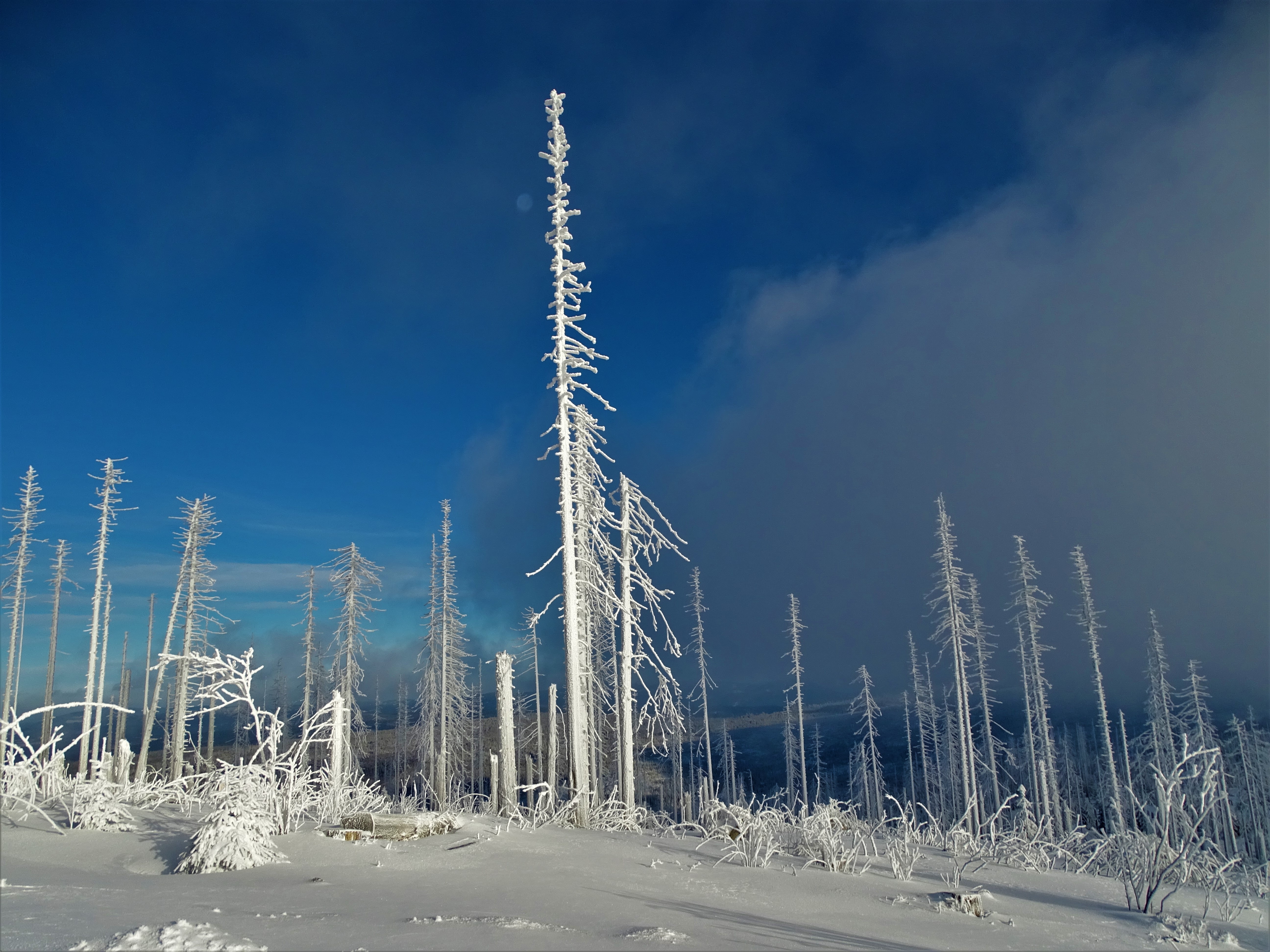 4-Dreisessel-Bayerischer-Wald-Nadia-Baumgart