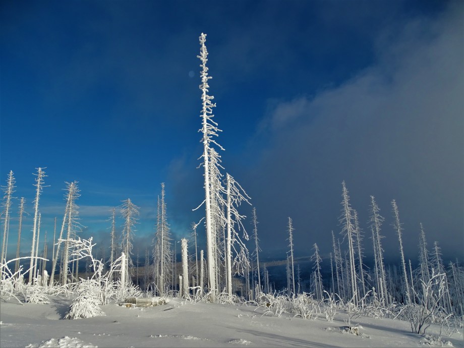 4-Dreisessel-Bayerischer-Wald-Nadia-Baumgart