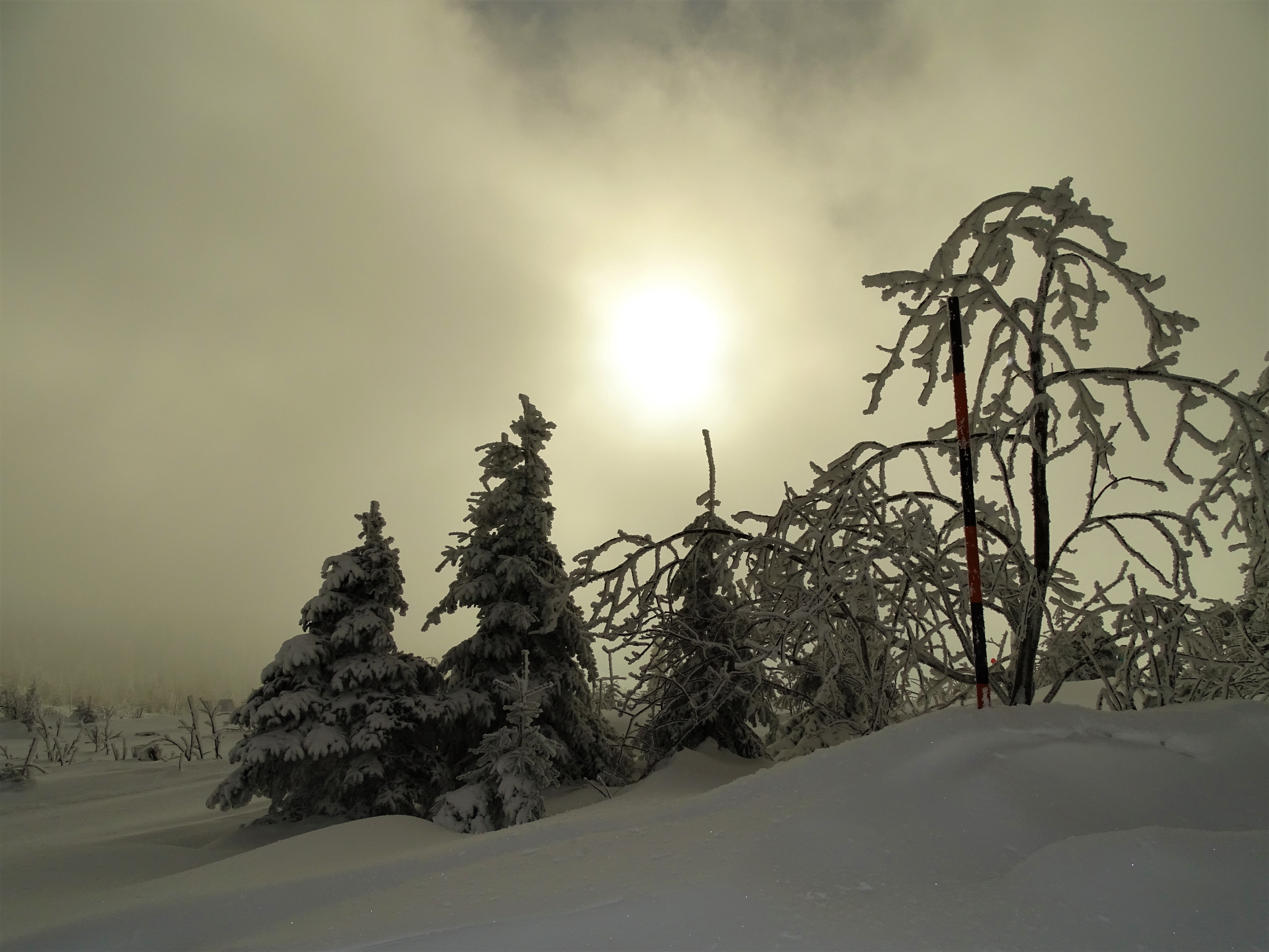 6-Dreisessel-Bayerischer-Wald-Nadia-Baumgart