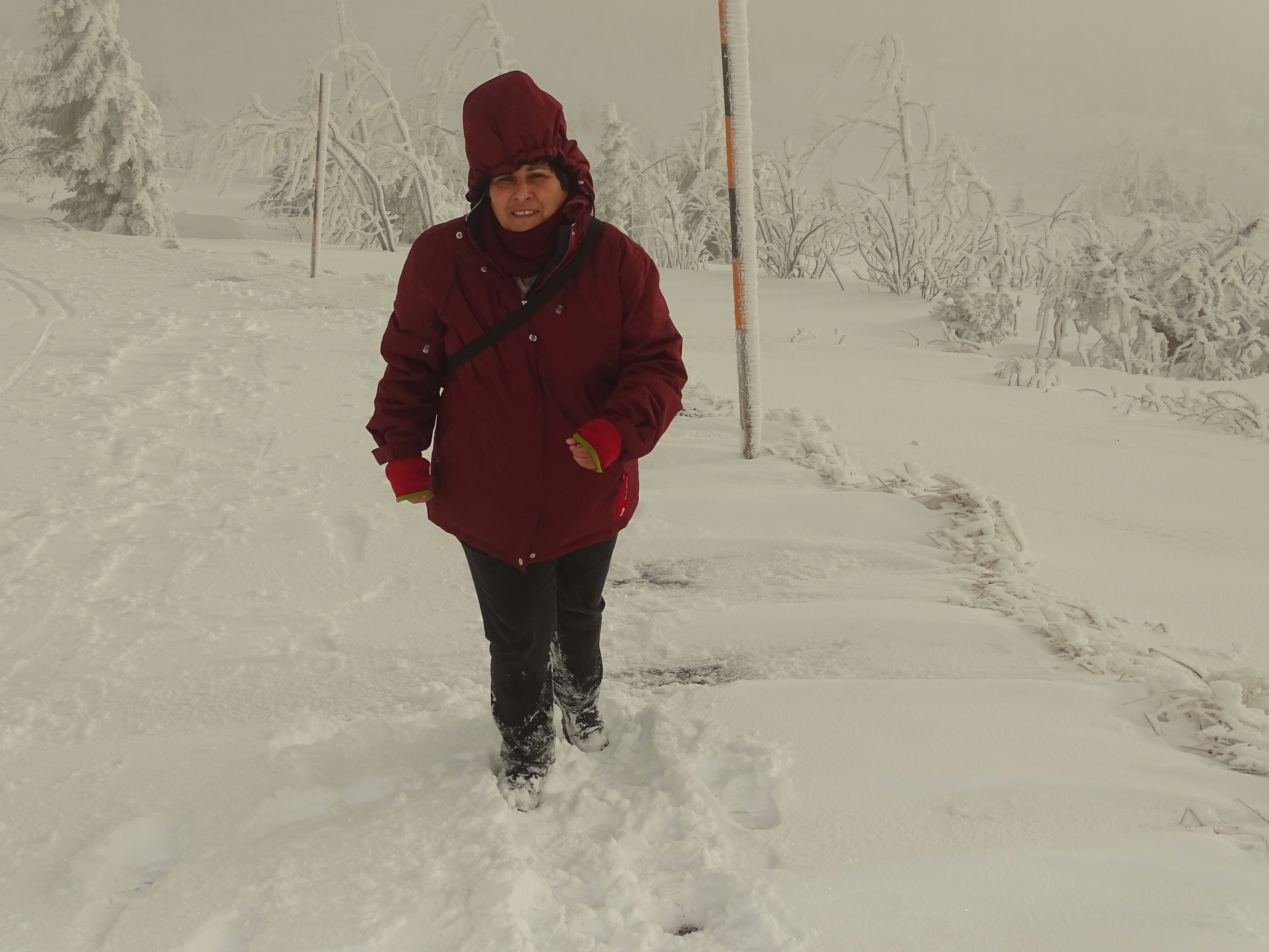 8-Dreisessel-Bayerischer-Wald-Nadia-Baumgart