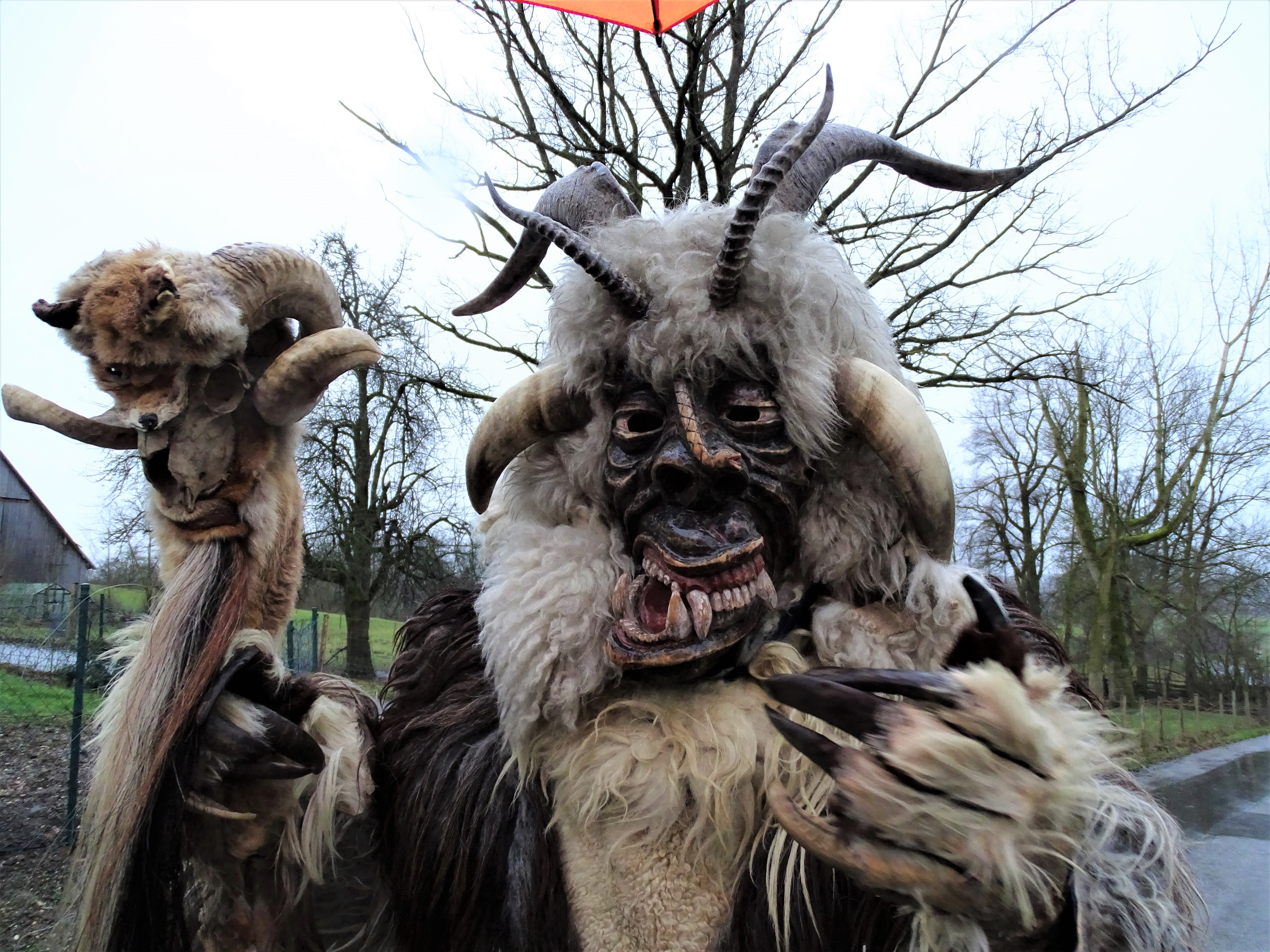 1-Perchten-Bayerbach-Foto-Nadia-Baumgart