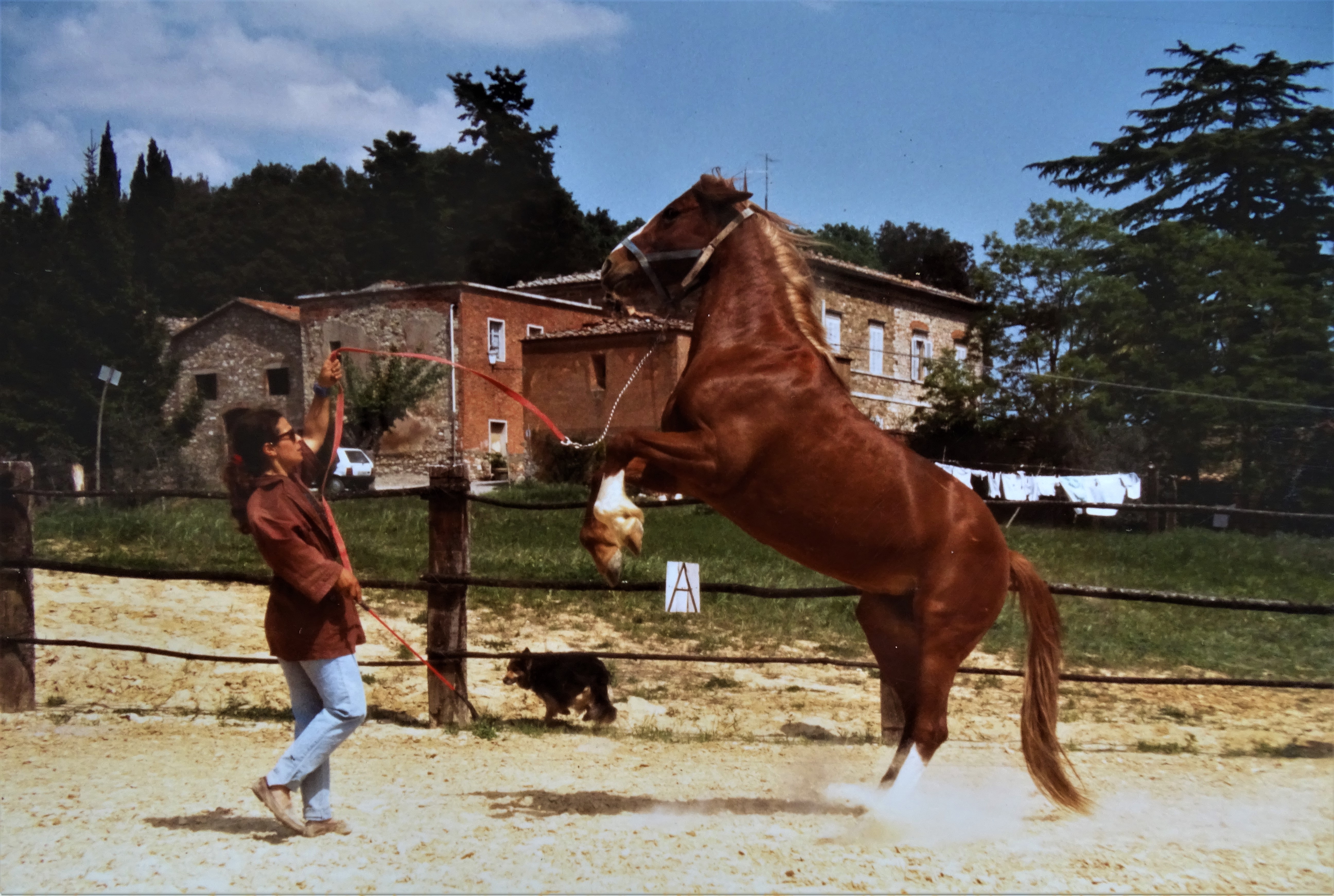 Nadia-Cavalli-Villa-dei-Boschi