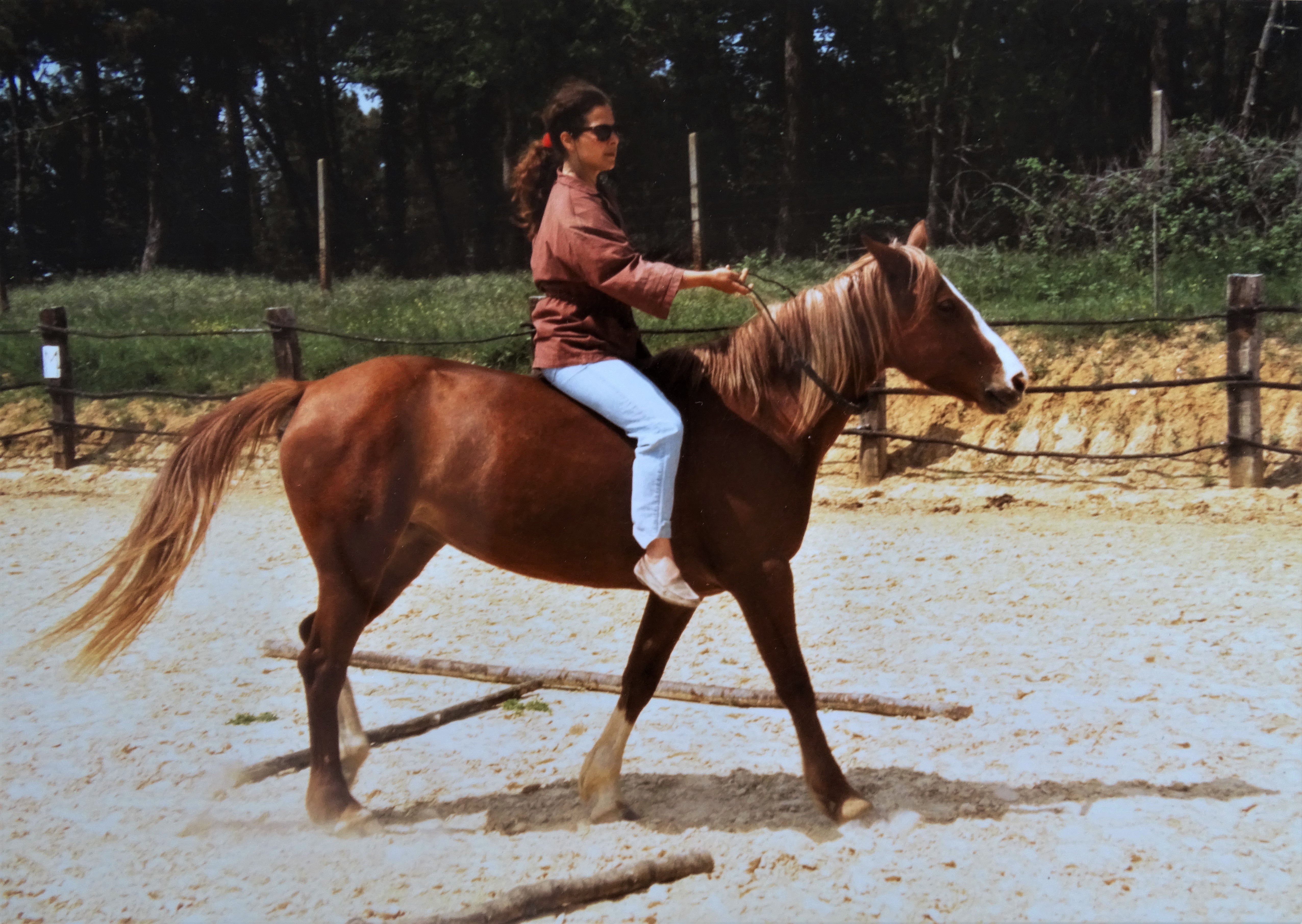 Nadia-Nashed-Baumgart-Fleur-Villa-dei-Boschi