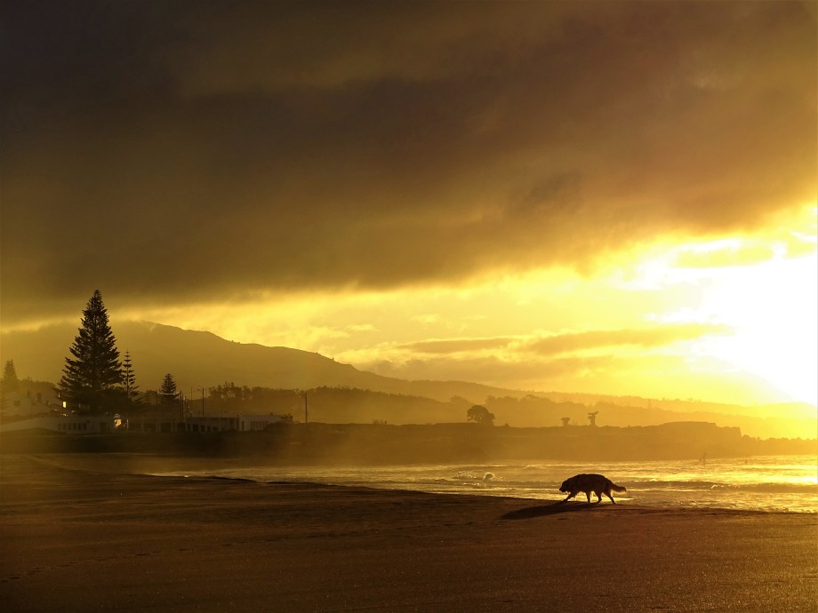 1-Sonnenaufgang-auf-den-Azoren-Foto-Nadia-Baumgart
