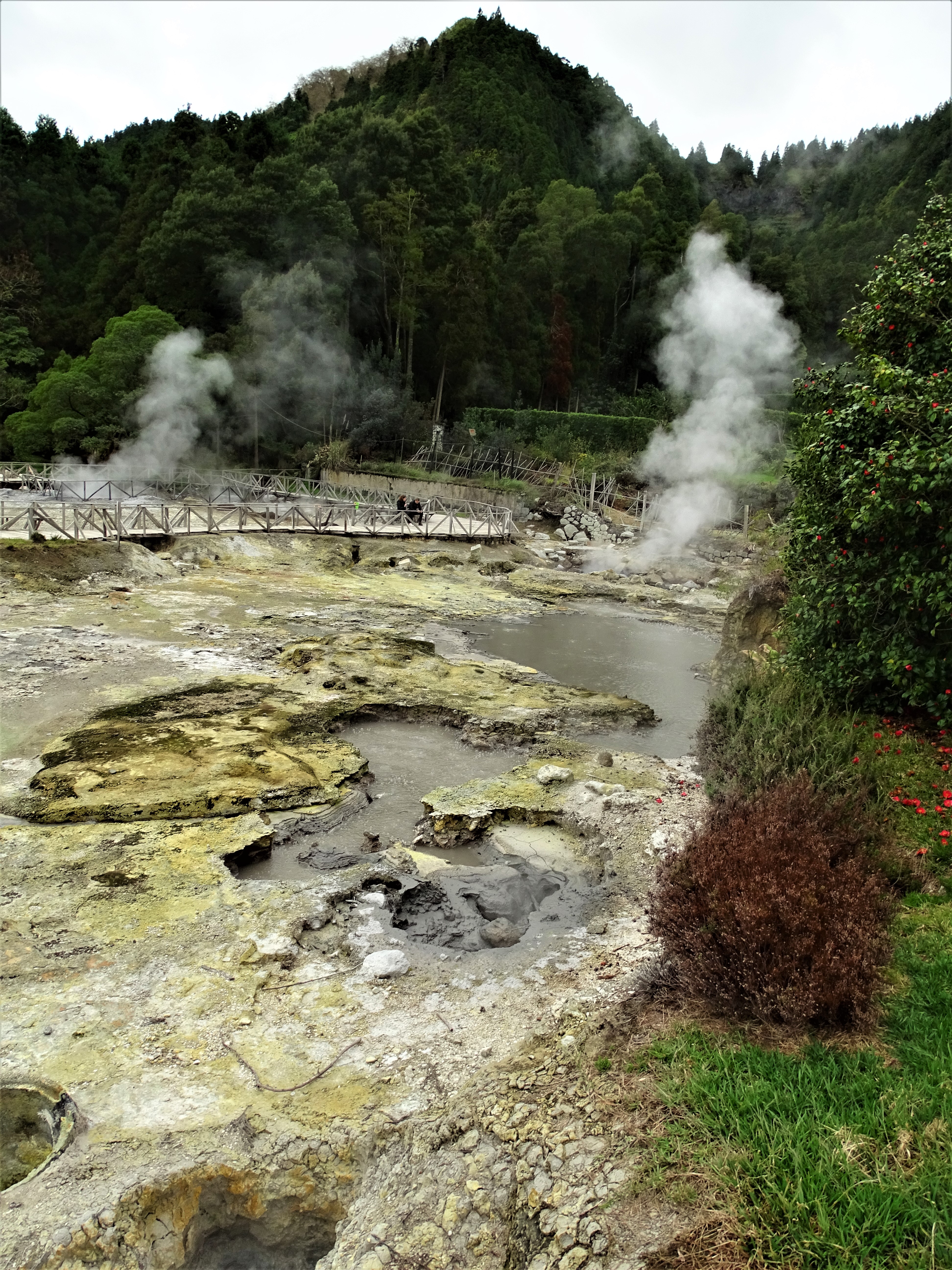 1a-Furnas-Caldeiras-Foto-nadia-Baumgart