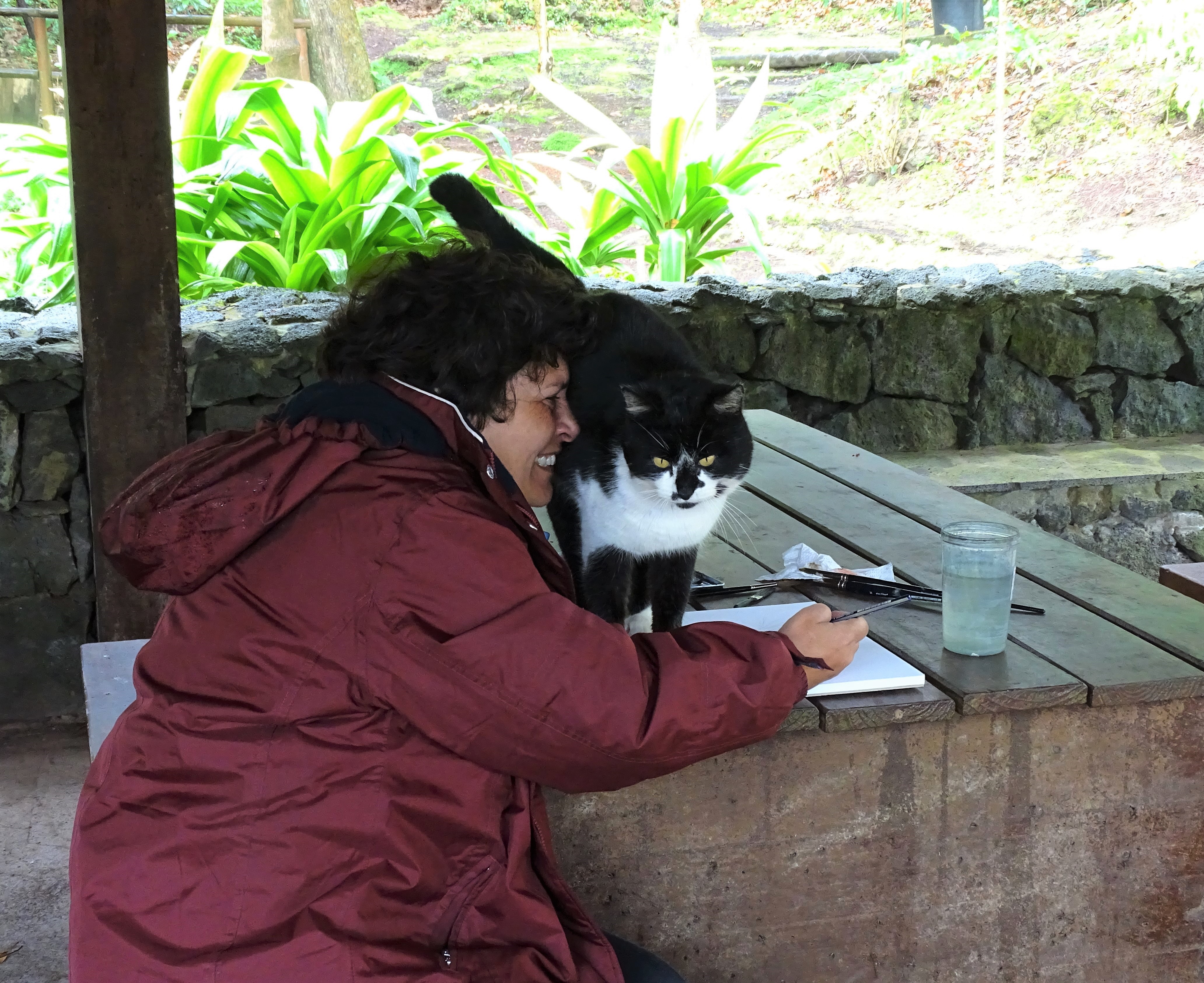 Nadia-Baumgart-Katze-Azoren