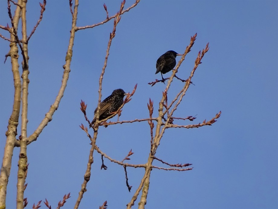 2-Stare-Bad-Birnbach-Foto-Nadia-Baumgart
