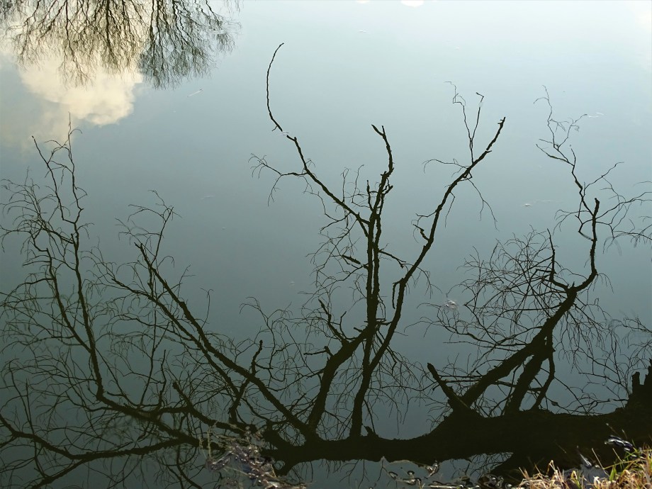 3-Kurpark-Foto-Nadia-Baumgart