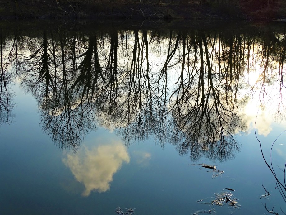 4-Kurpark-Bad-Birnbach-Foto-Nadia-baumgart