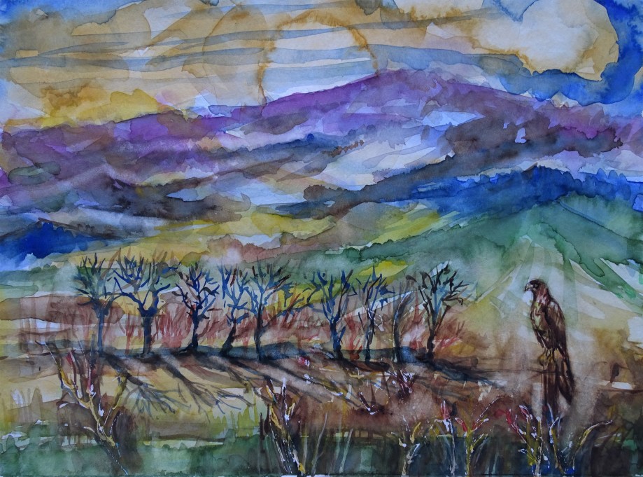 Landschaft-mit-Bussard-Aquarelle-Nadia-Baumgart