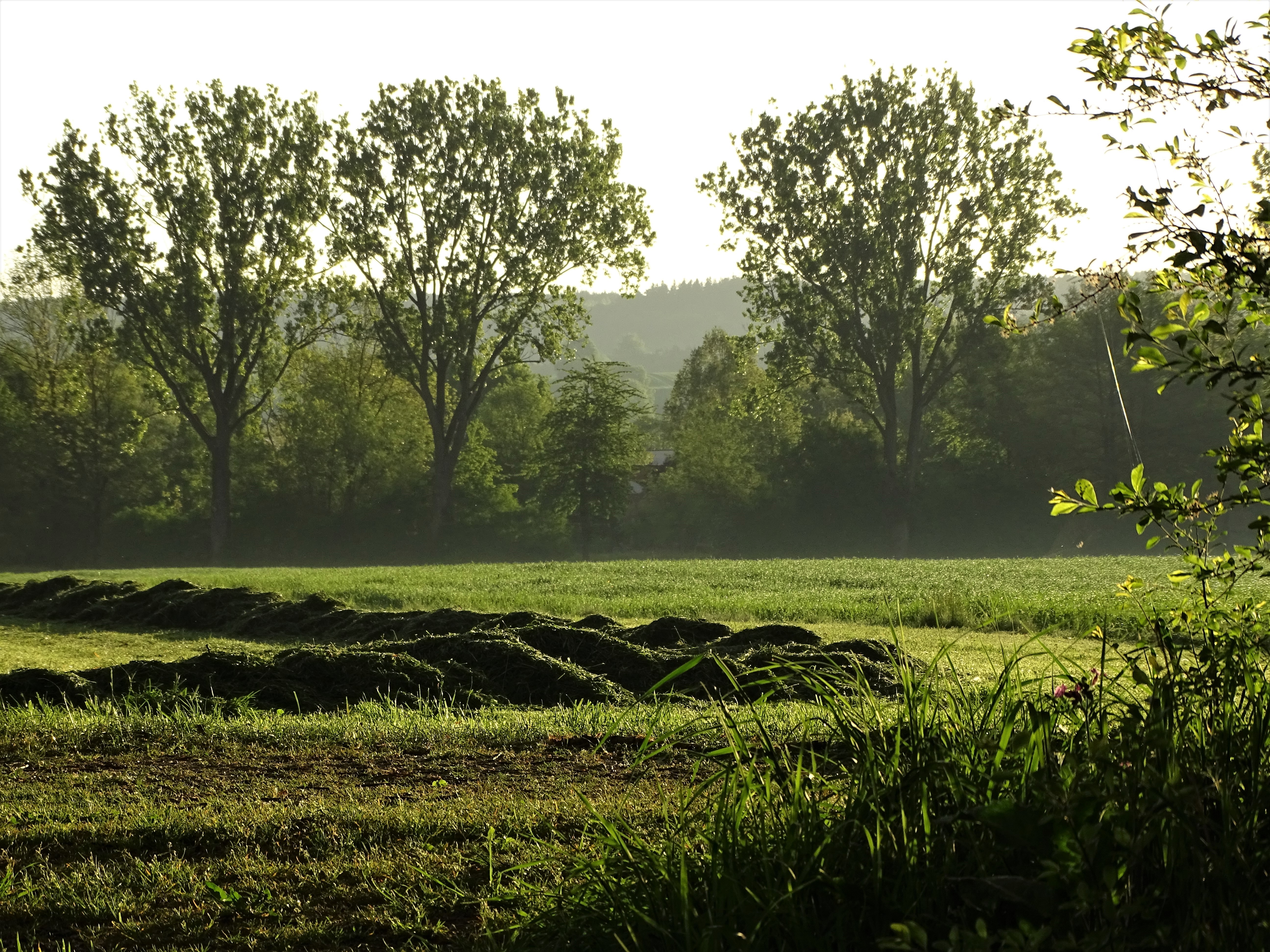 3-Kurpark-Badd-Birnbach-Foto-Nadia-Baumgart