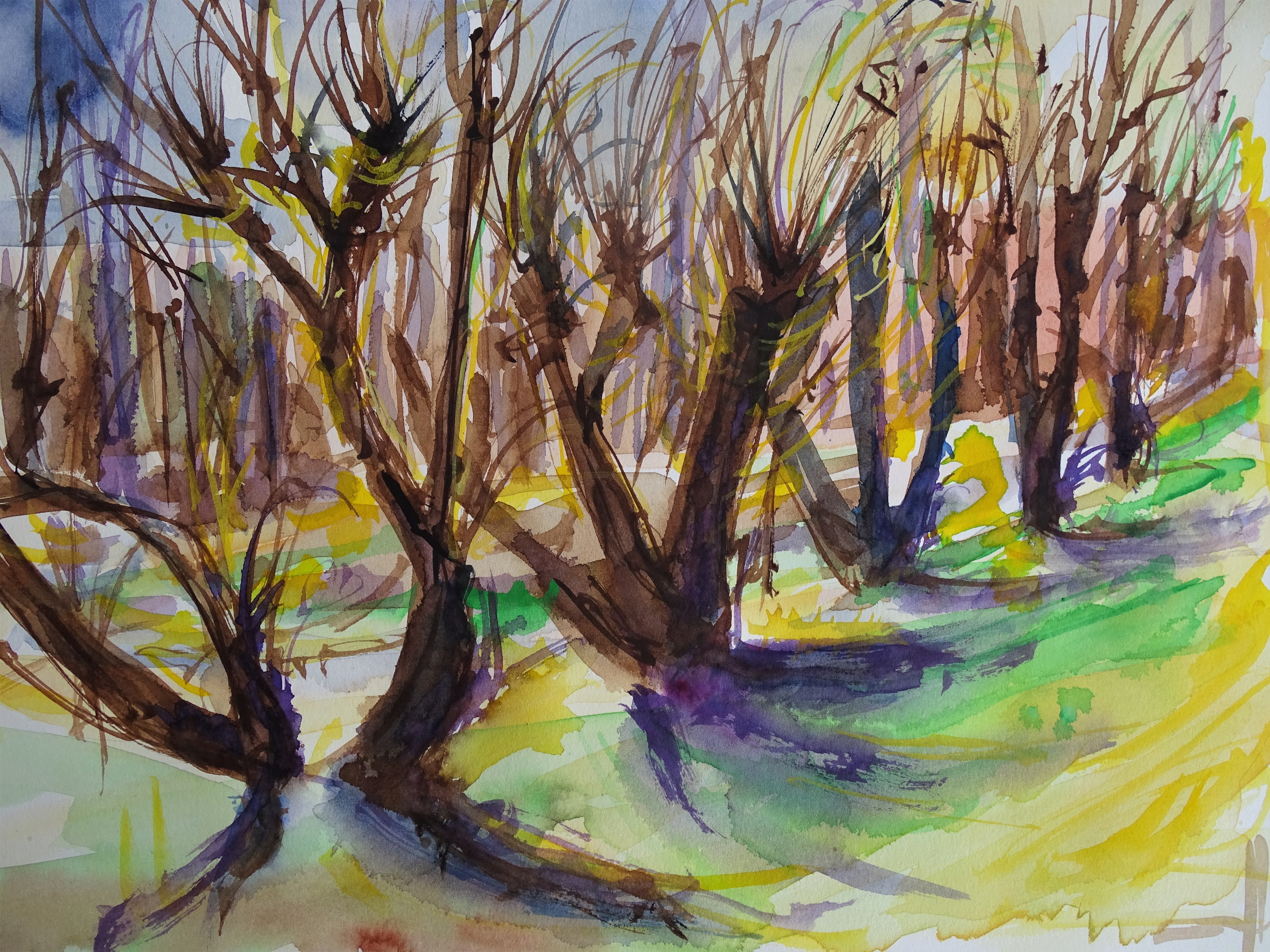 Kopfweiden-Aquarelle-Nadia-Baumgart