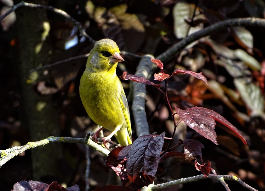1-gruenfink-2-nadia-baumgart
