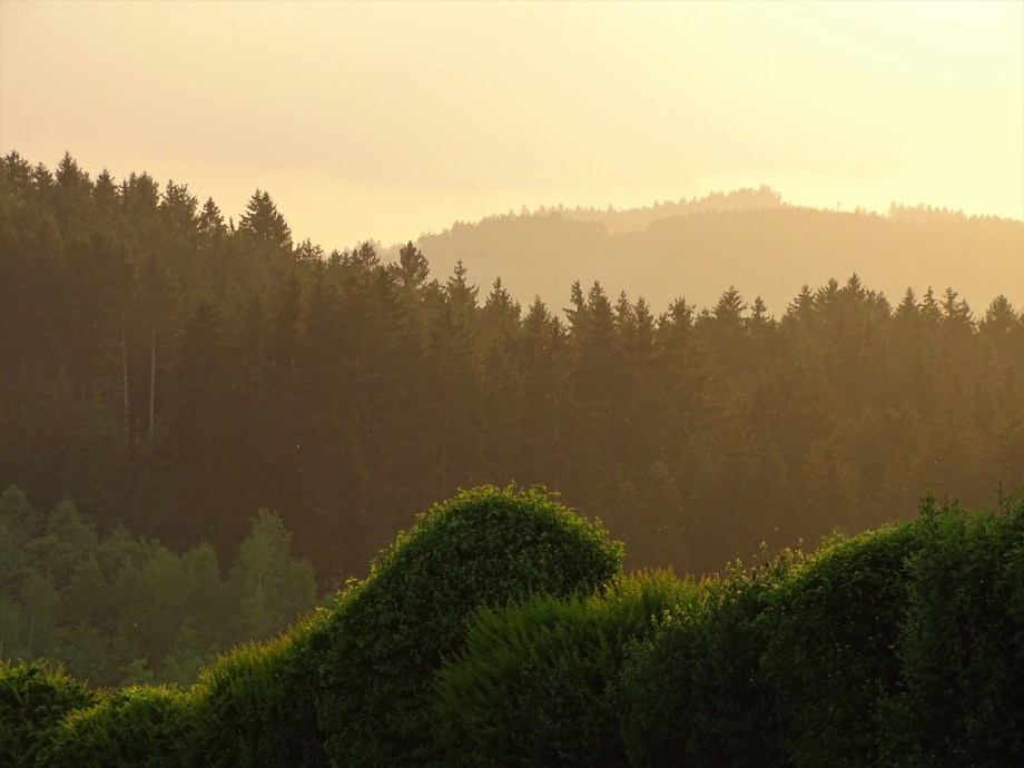 1a-bayerischer-wald-nadia-Baumgart