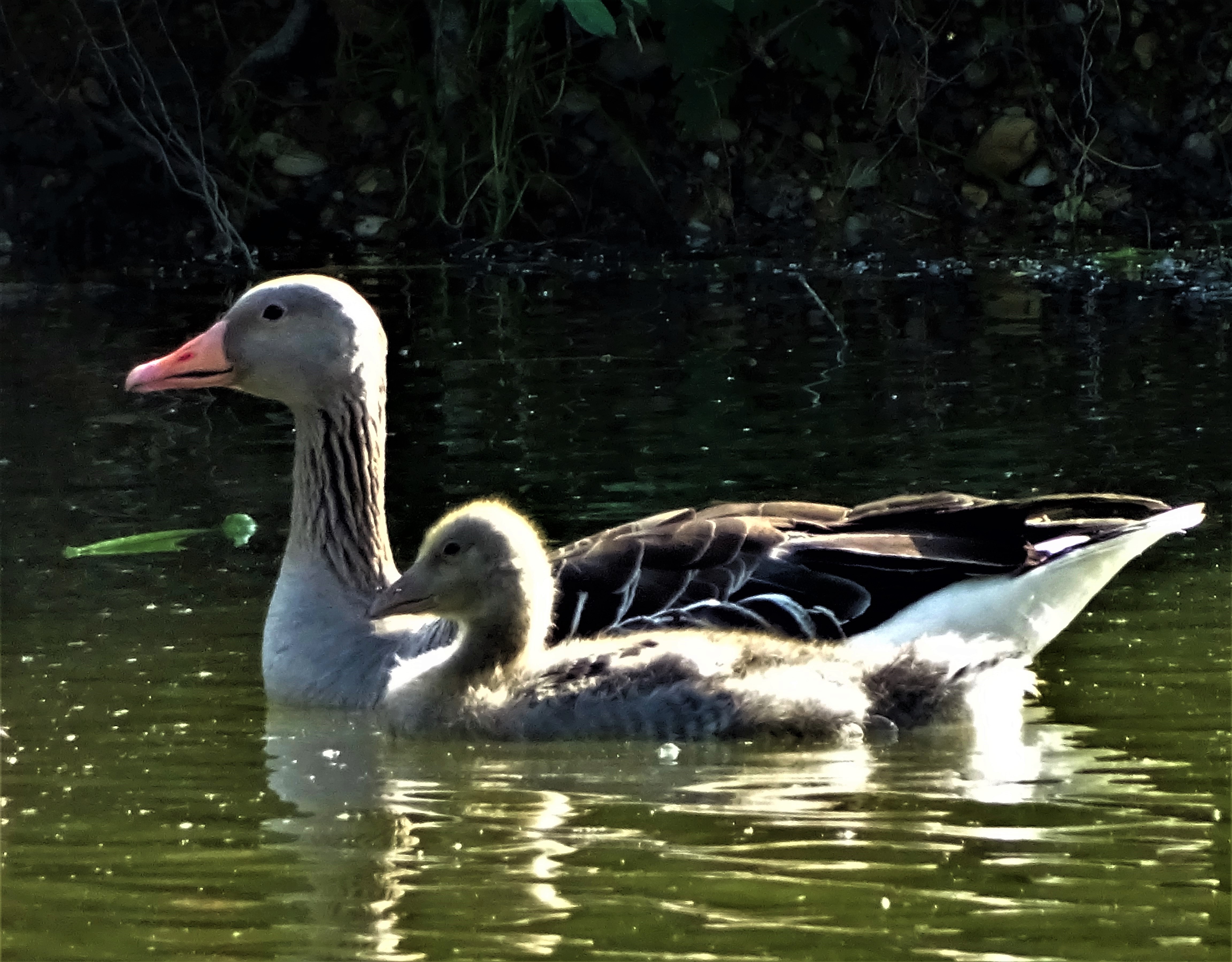 Muttertag_Nadia-Baumgart