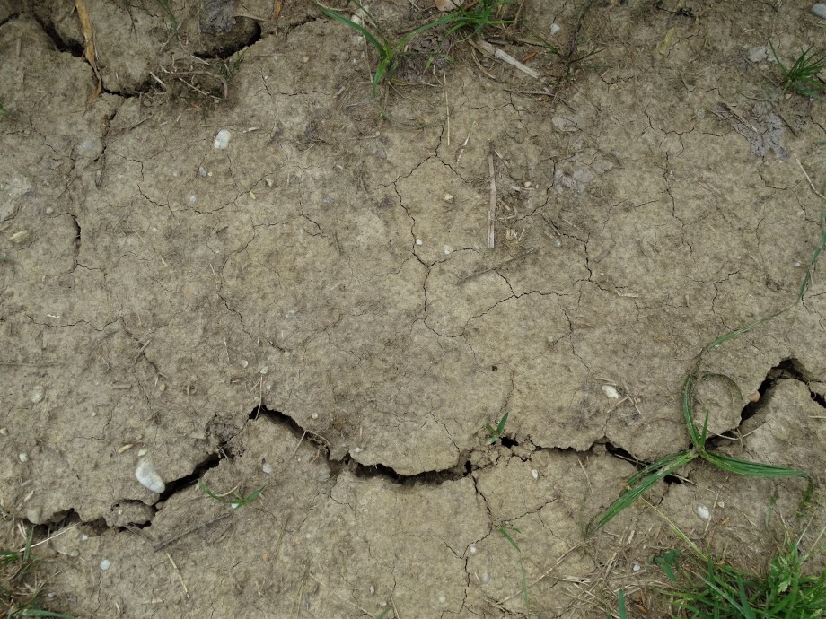 1-Klimawandel-Bayern-2018