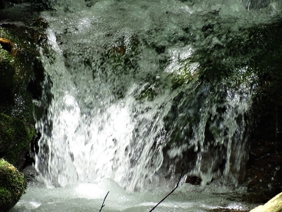 2-Waldwiesbach-Arnbruck