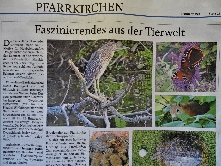 PNP-Nachtreiher-Pfarrkirchen-Bad-Birnbach