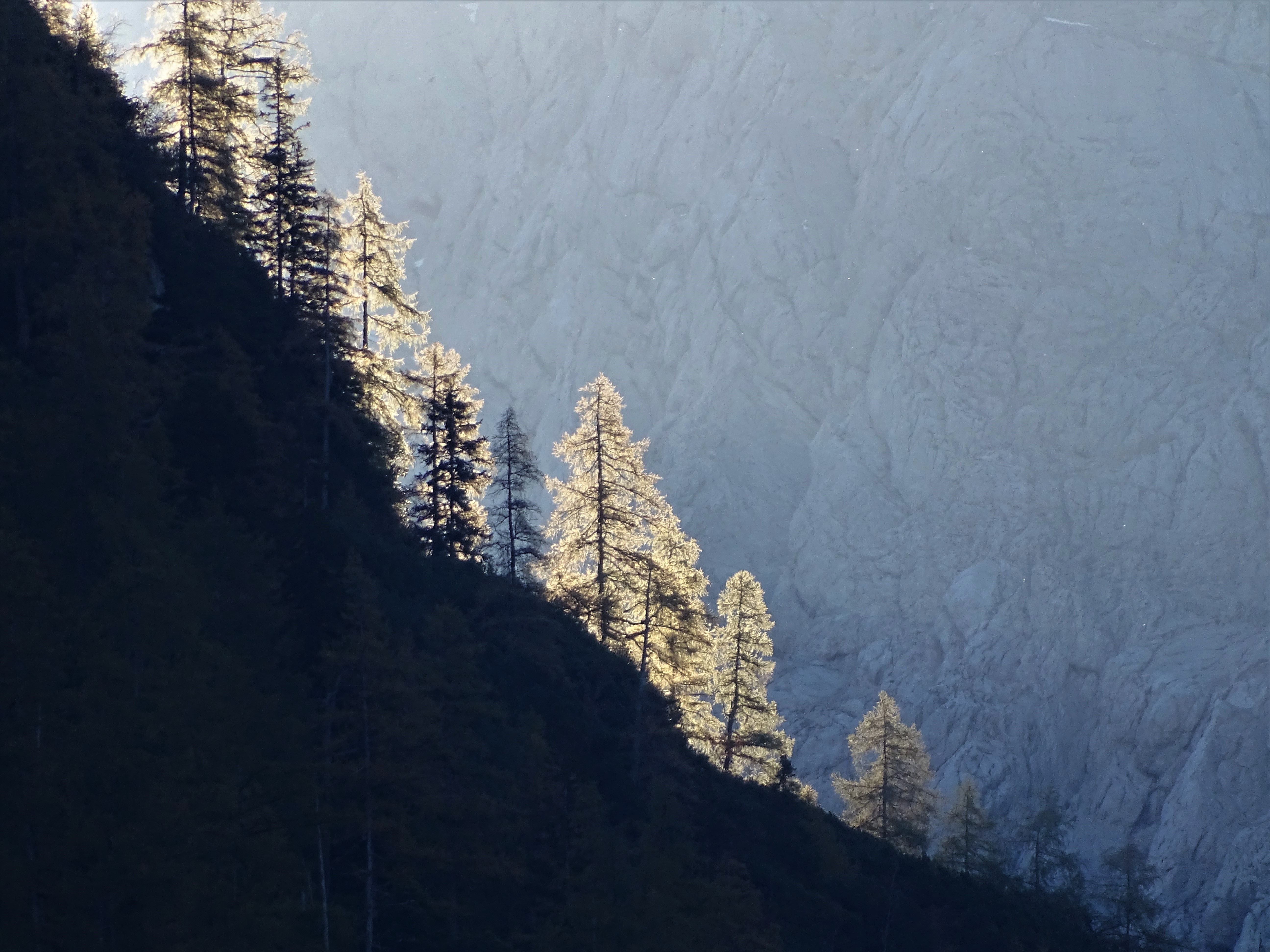 1-Alpen_Foto_Nadia_Baumgart