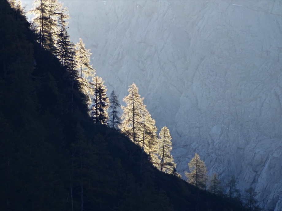 1-Alpen_Foto_Nadia_Baumgart