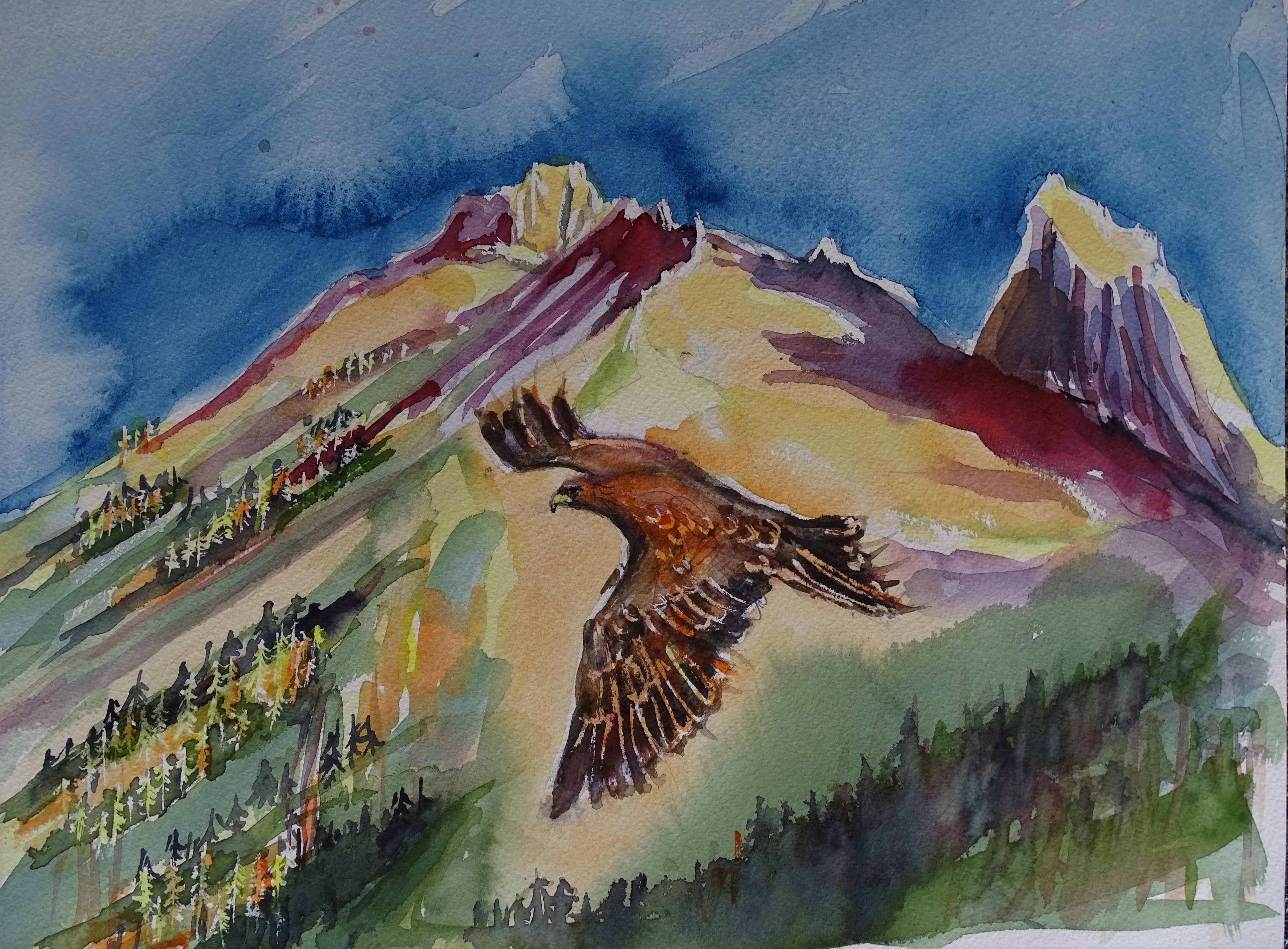 Fliegender_Adler_Aquarelle_Malerei_Bad_Birnbach_Nadia_baumgart