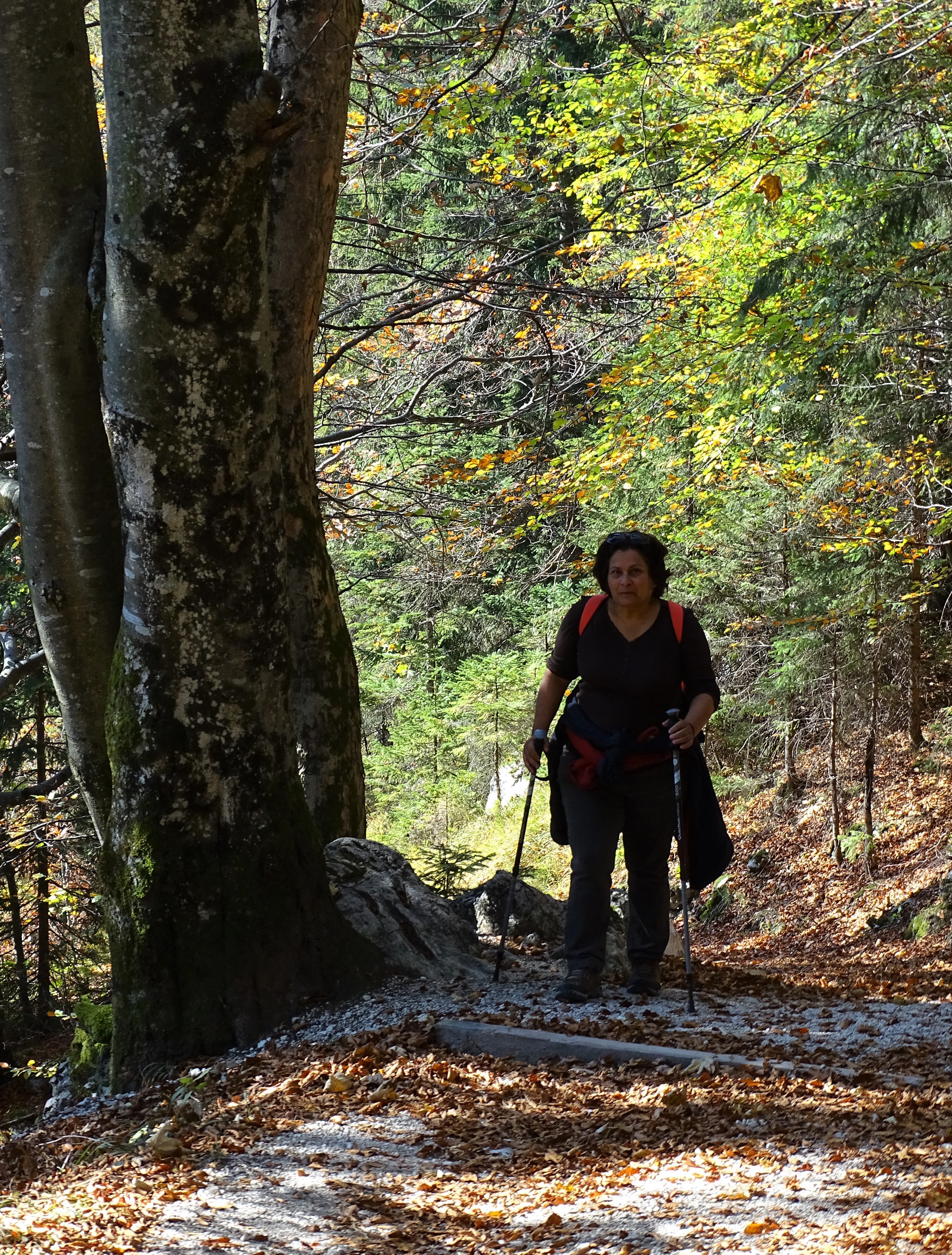 Nationalpark_berchtesgaden_Nadia_Baumgart-2