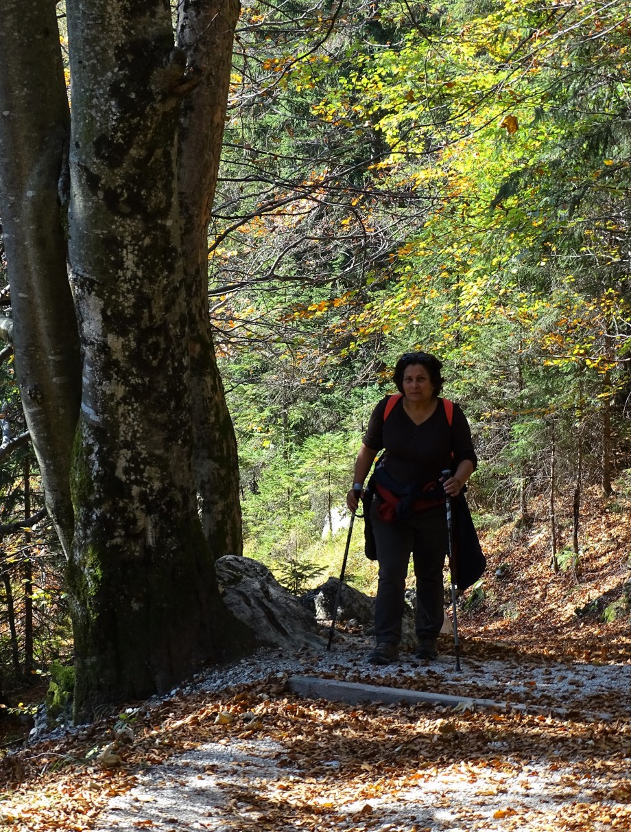 Nationalpark_berchtesgaden_Nadia_Baumgart-2