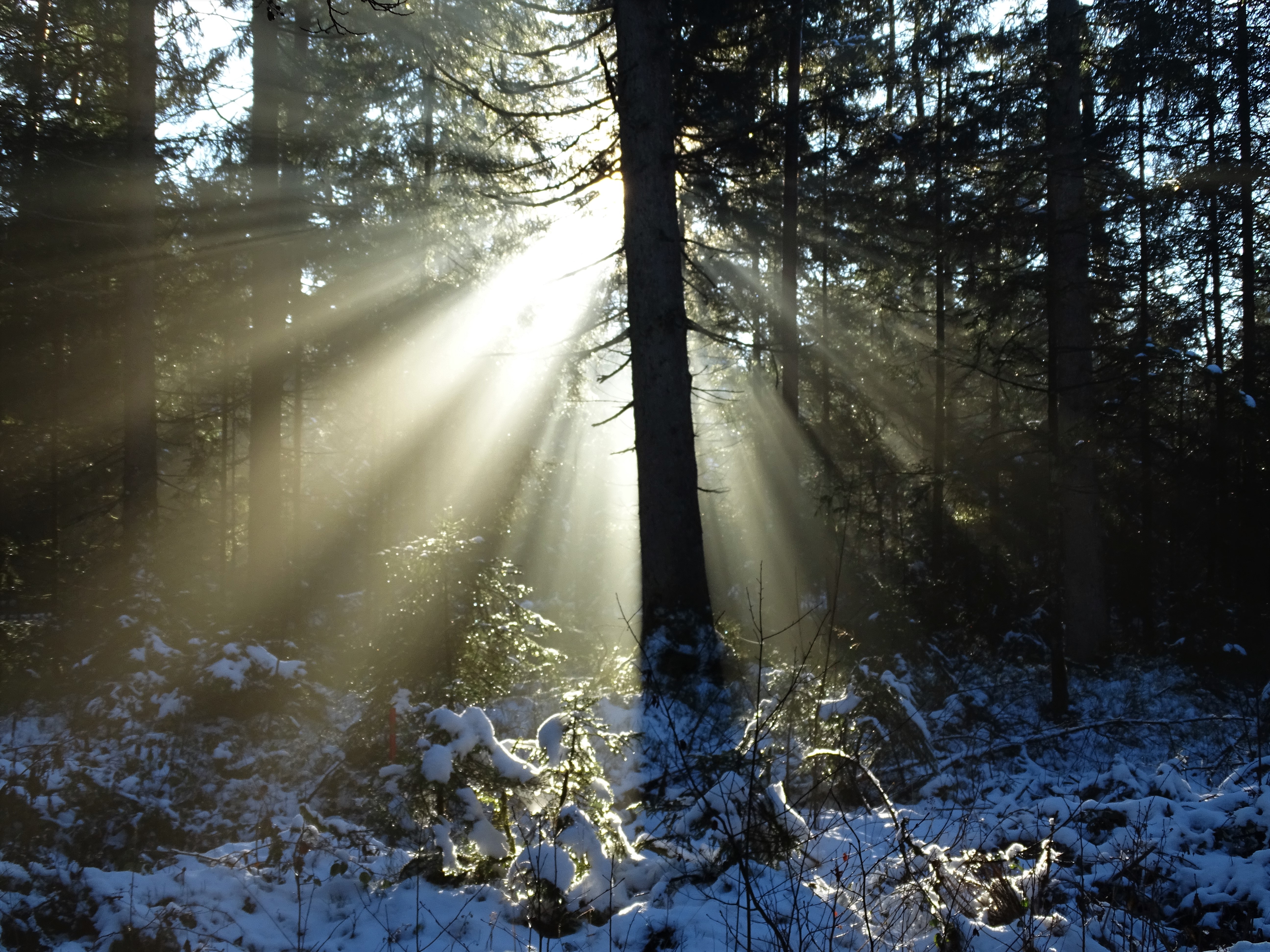 Am_Simssee_Natur_Nadia_Baumgart