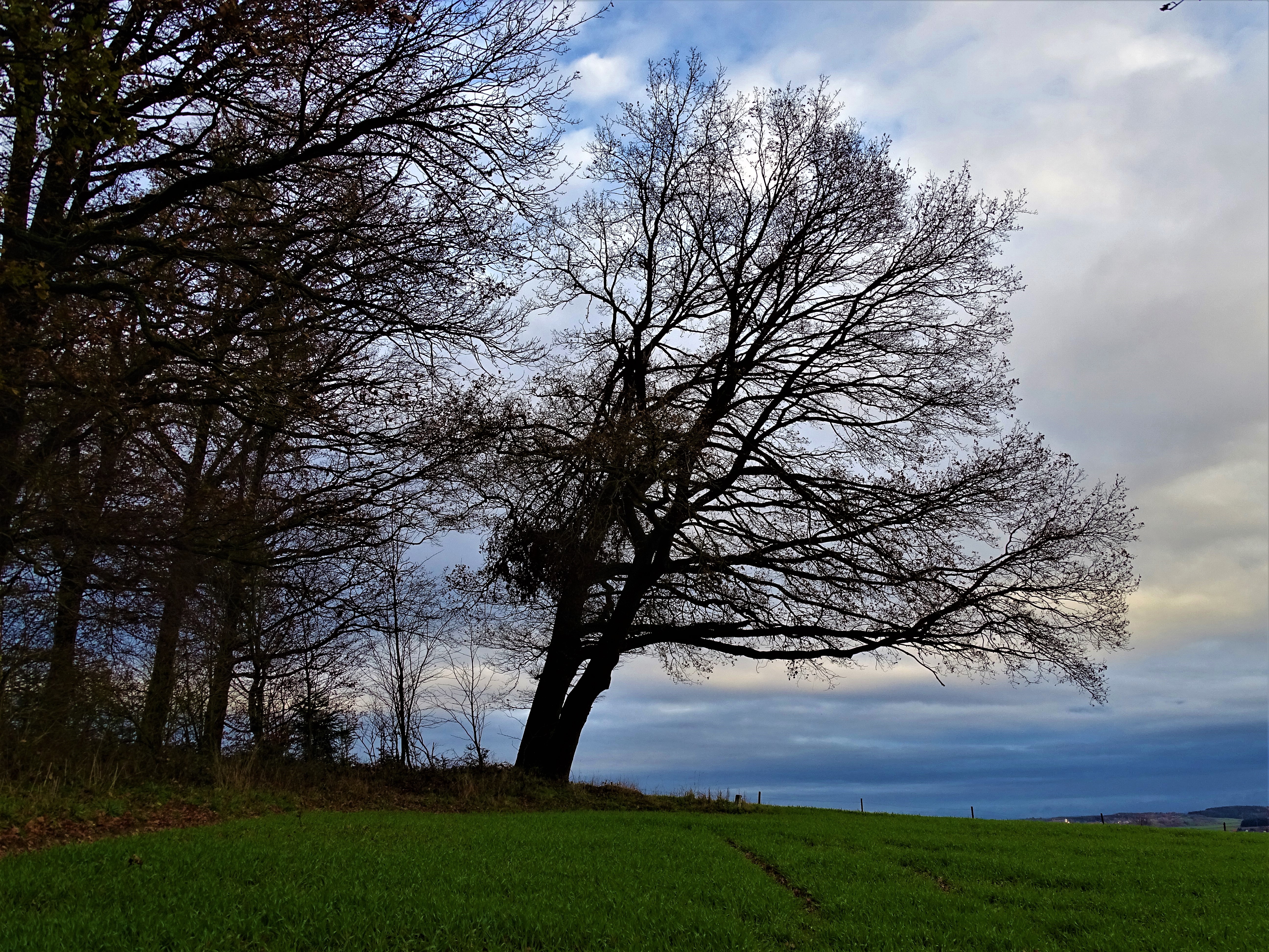 Lugenzwald-Bad Birnbach