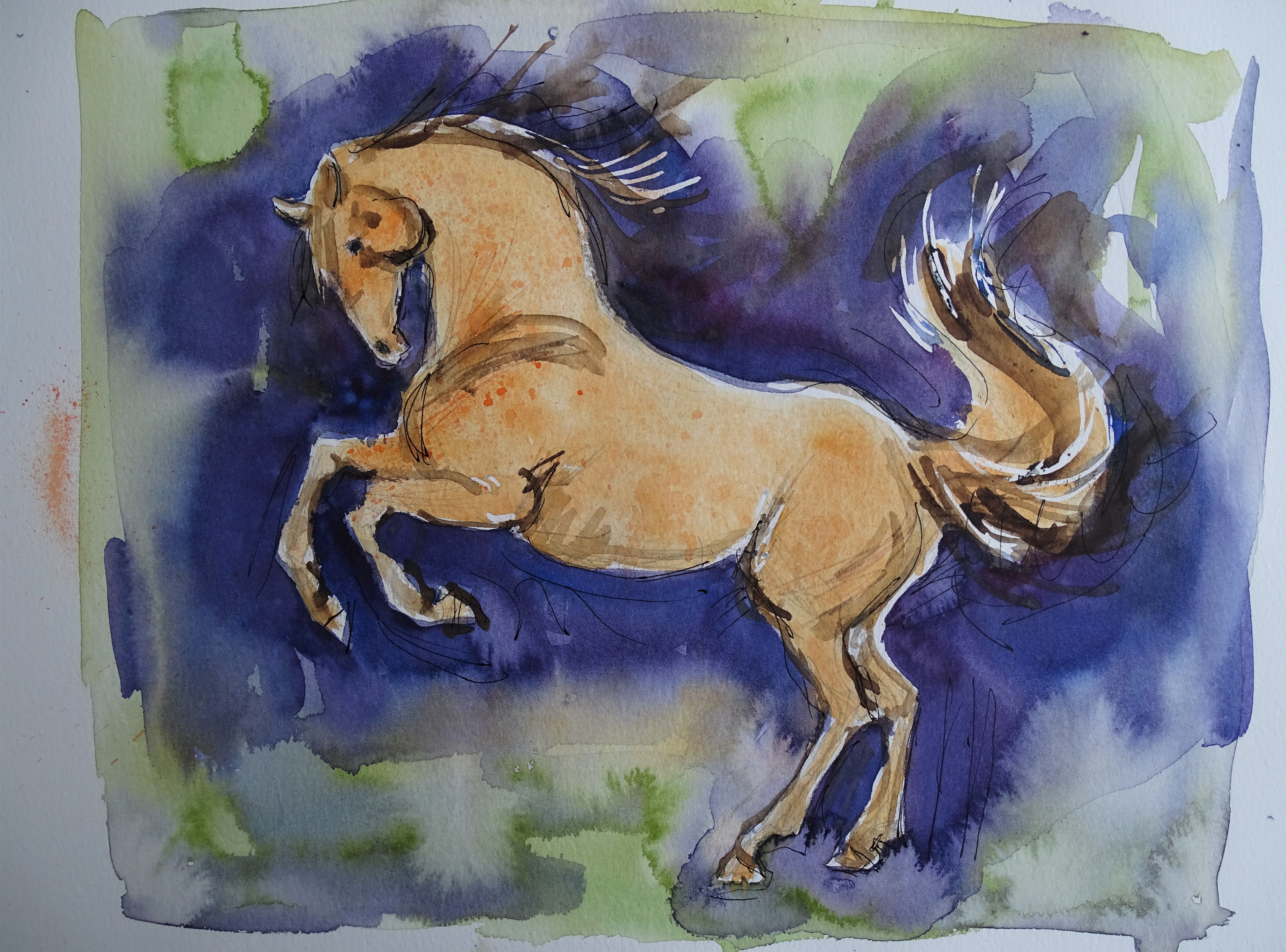 pferd-cheval-aquarelle-nadia-baumgart