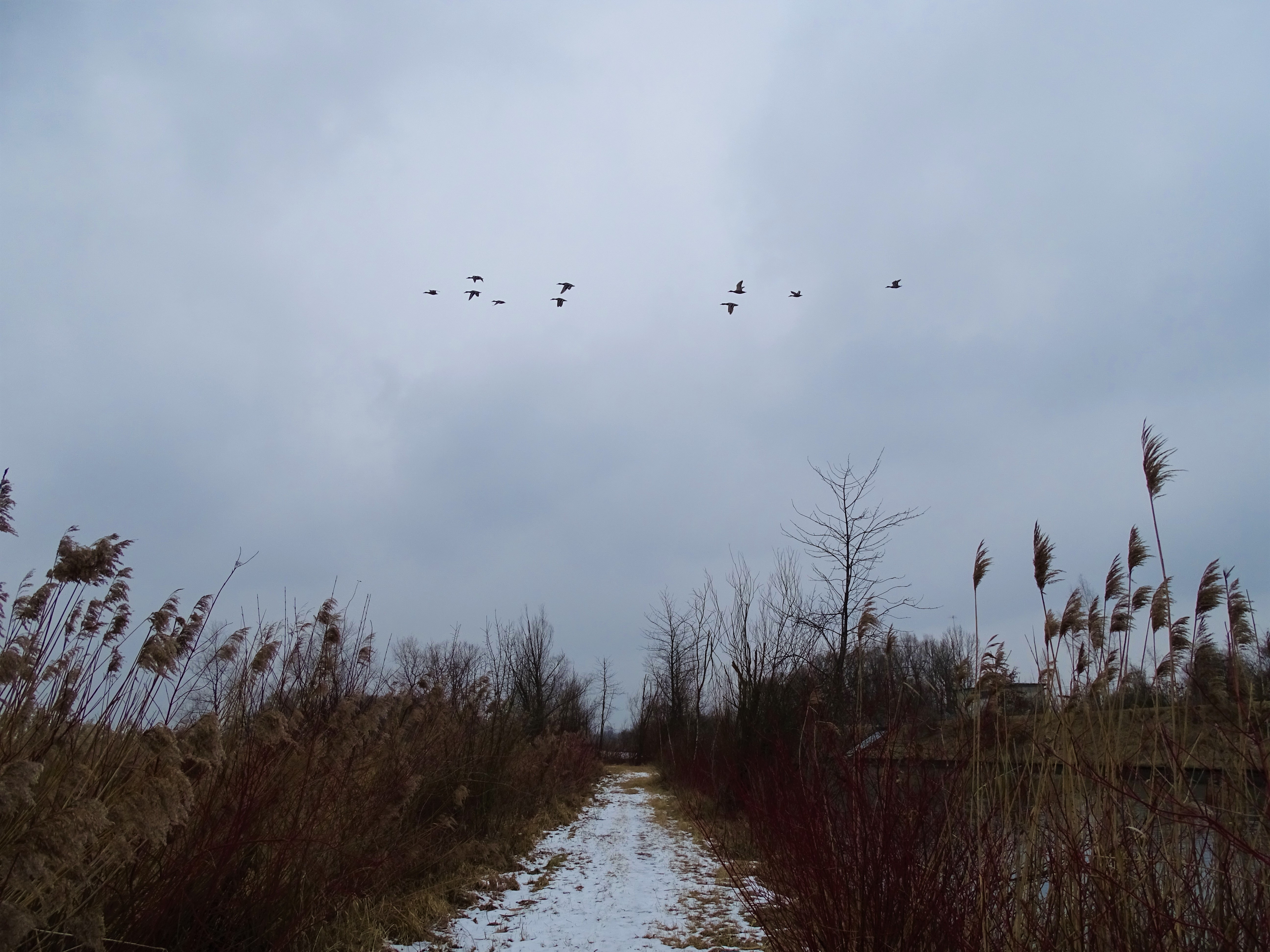 1a-am-inn-nadia_baumgart