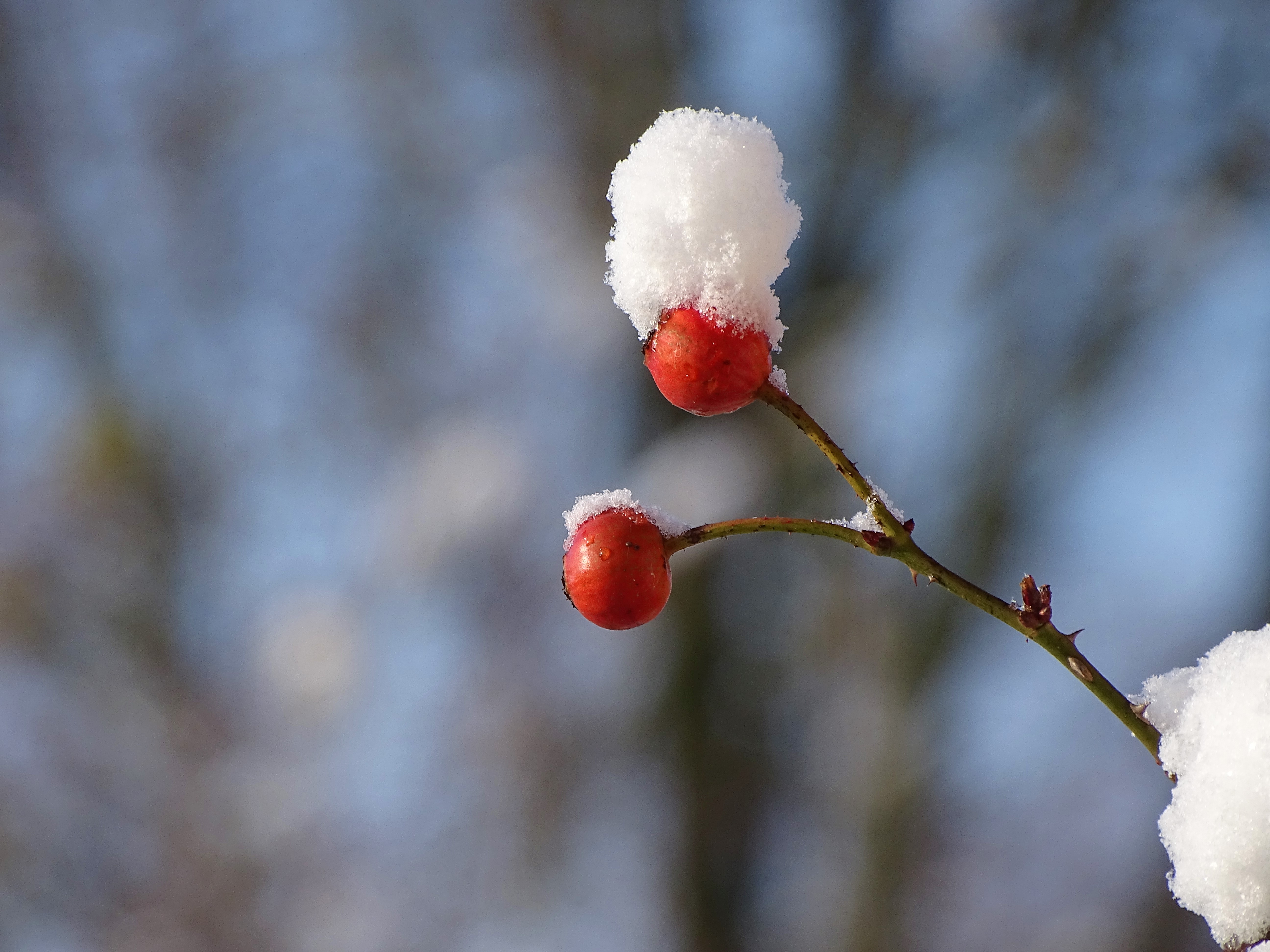 1-Schnee_Bad_Birnbach_Nadia_Baumgart