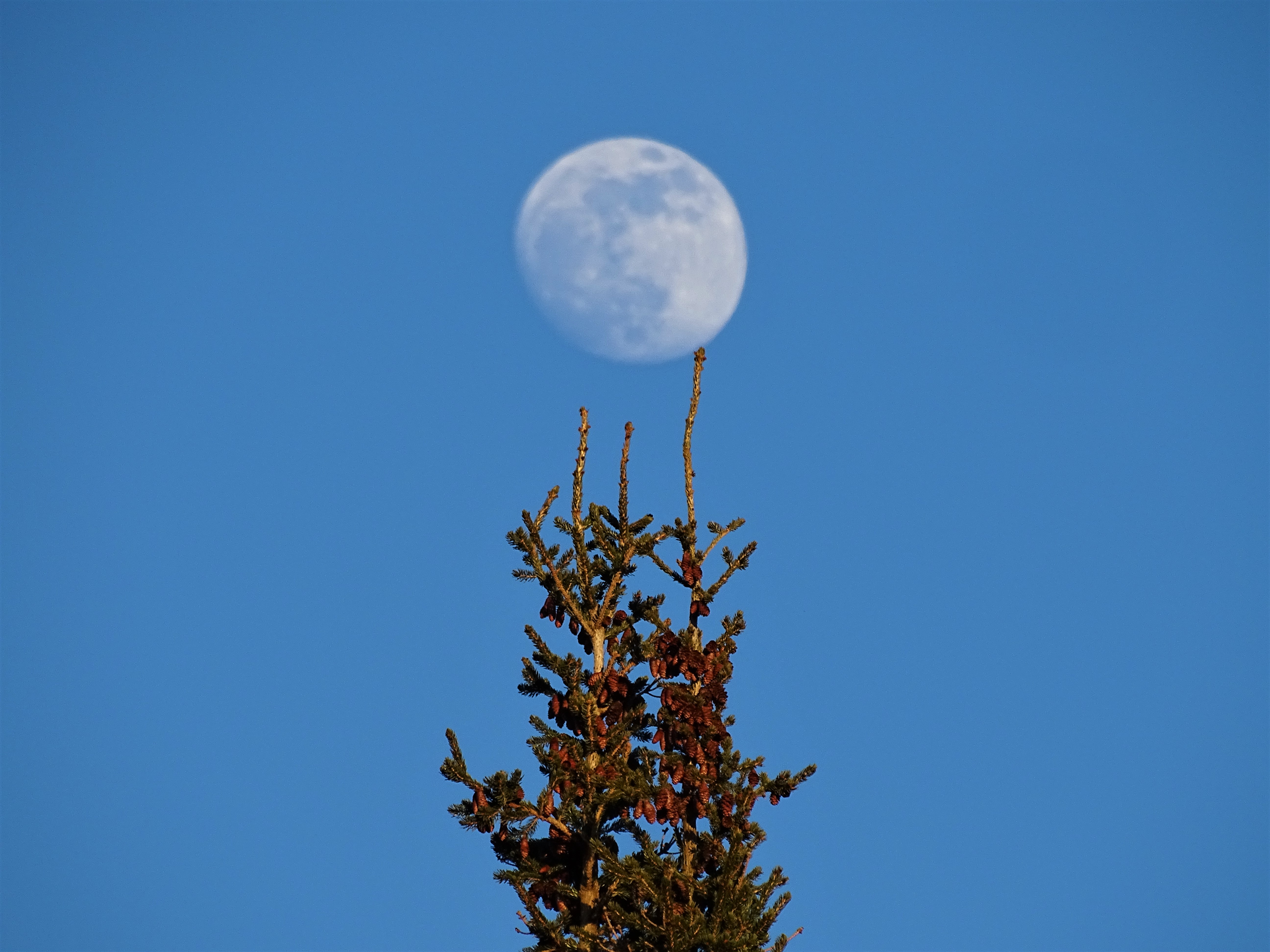 1-Vollmond_Nadia-Baumgart