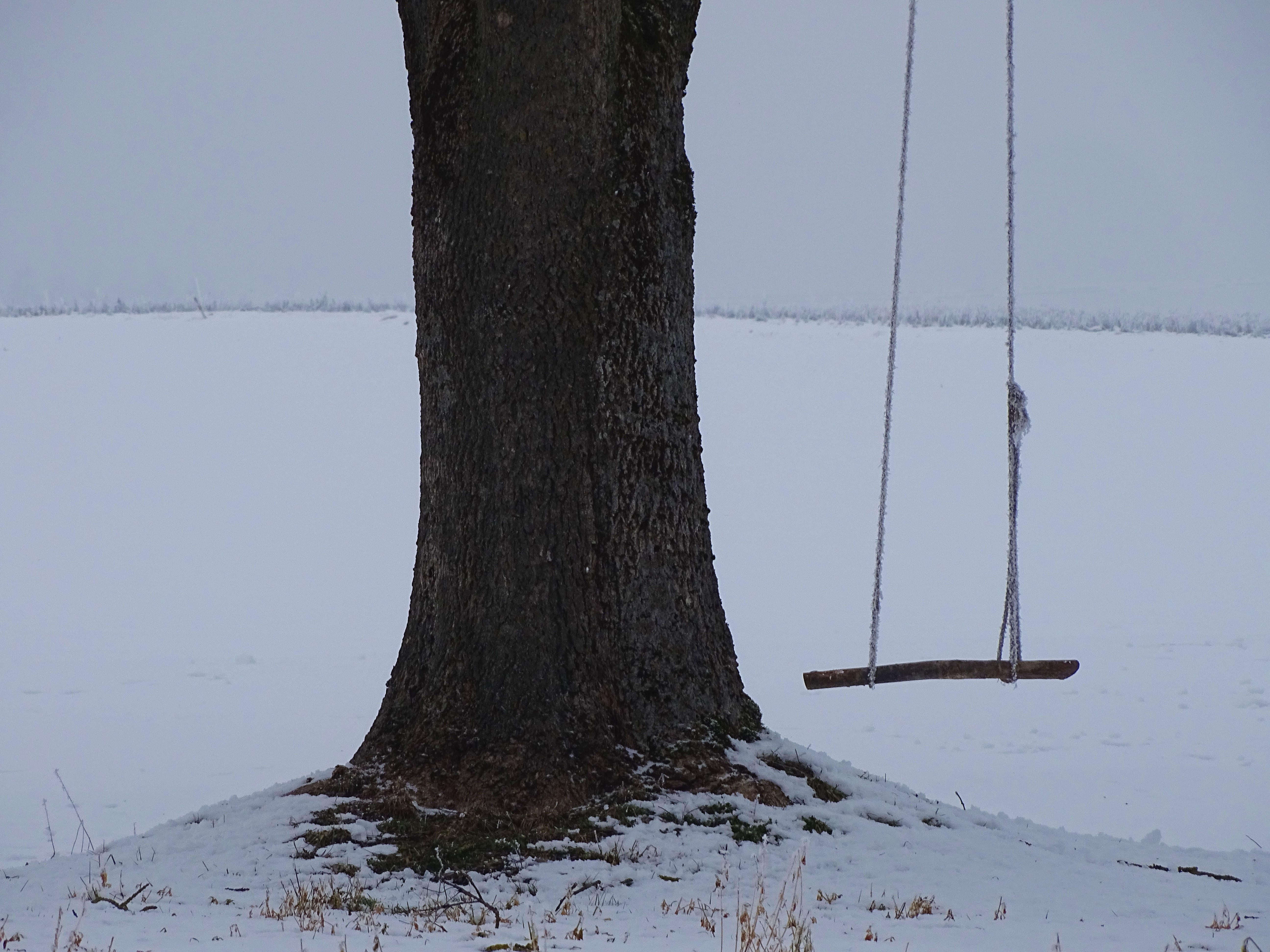 2_Schaukel_Schnee_nadia_baumgart