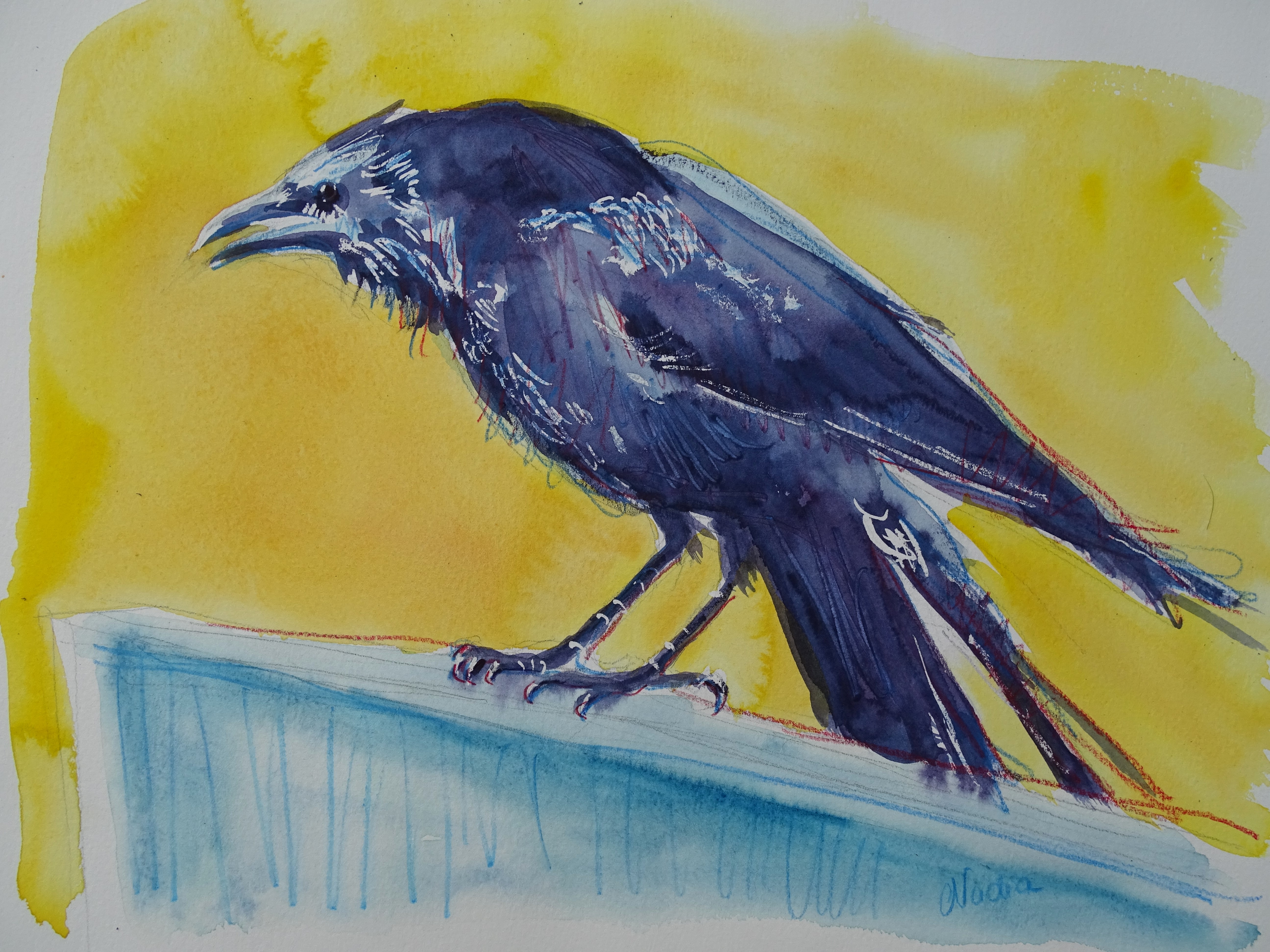 kraehe_Aquarelle-Nadia-Baumgart