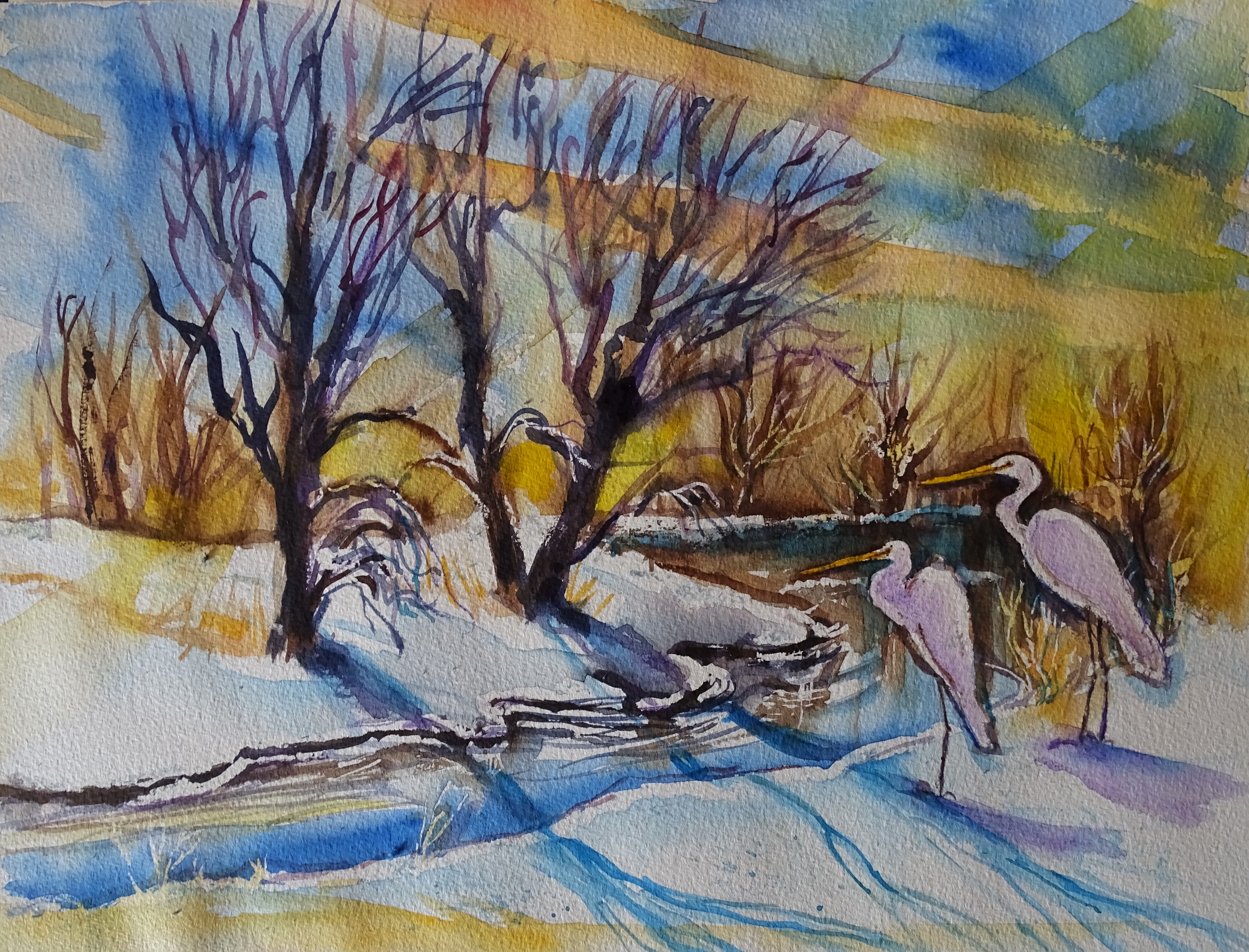 Reiher-Aquarelle-Nadia_Baumgart