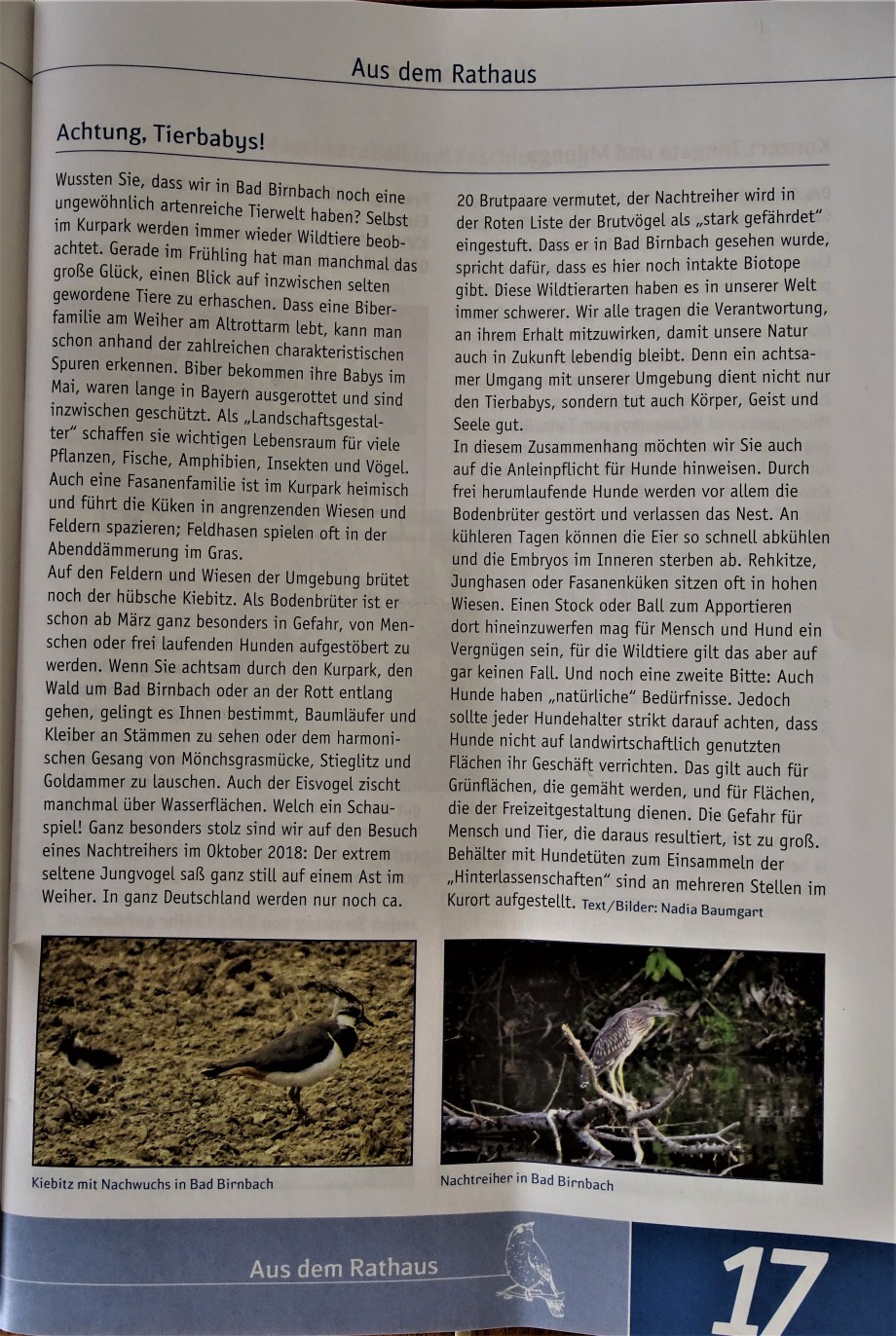 Natur_in_Bad_Birnbach_Kurspatz_Nadia_Baumgart