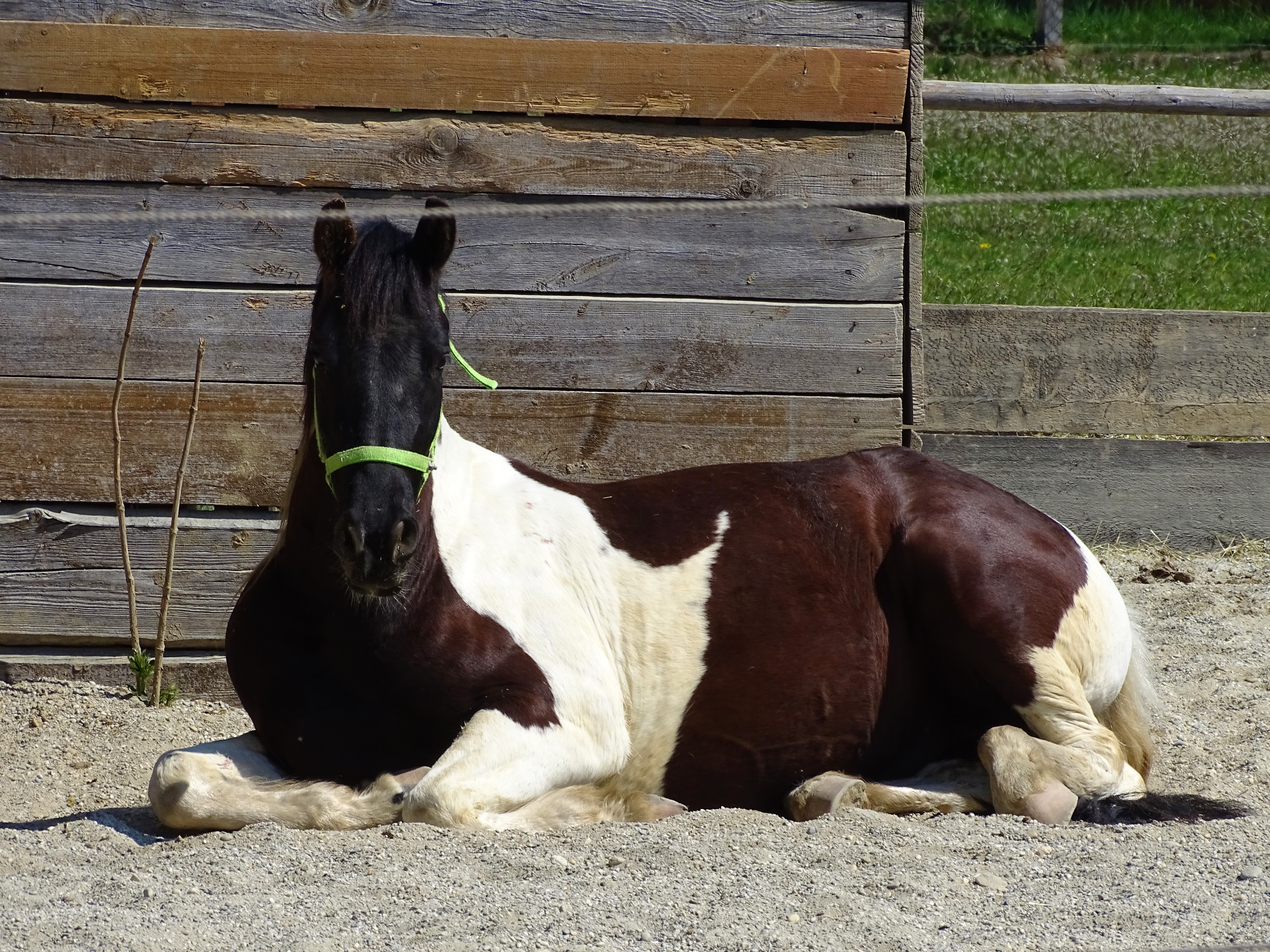 Radtour in Niederbayern