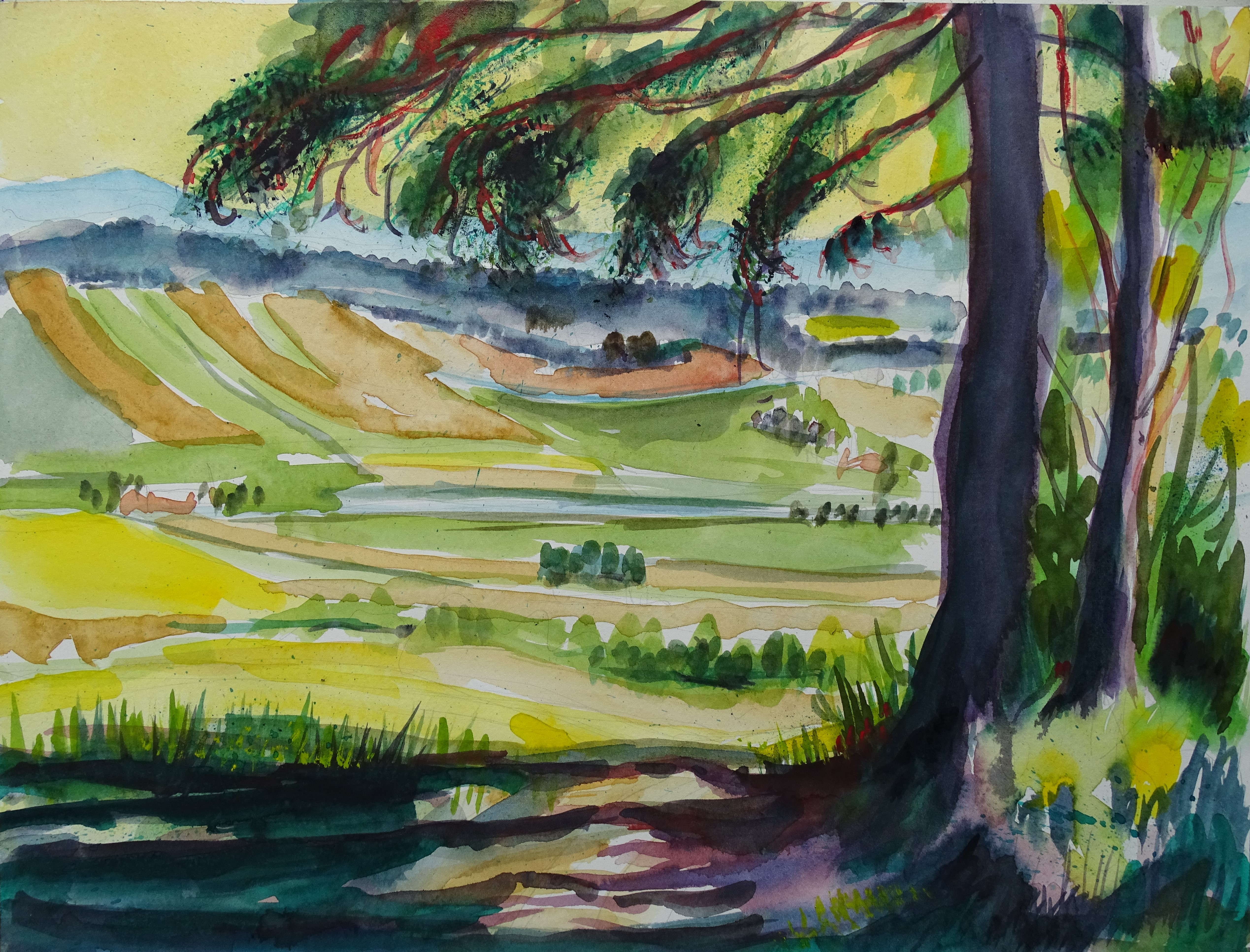 Aquarell von der Natur im Rottal in Niederbayern im Frühling