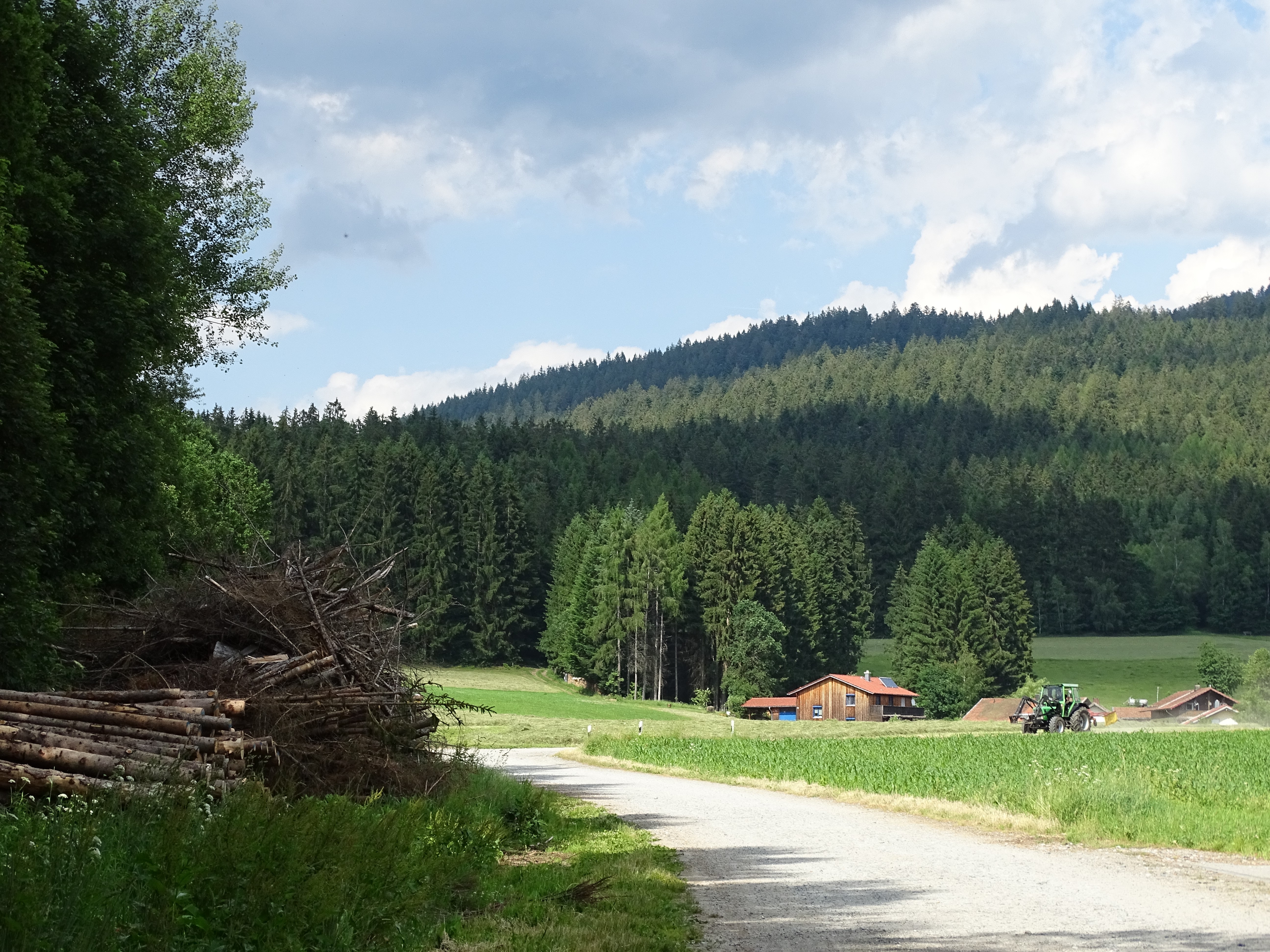 Zellertalradweg im Bayerischen Wald
