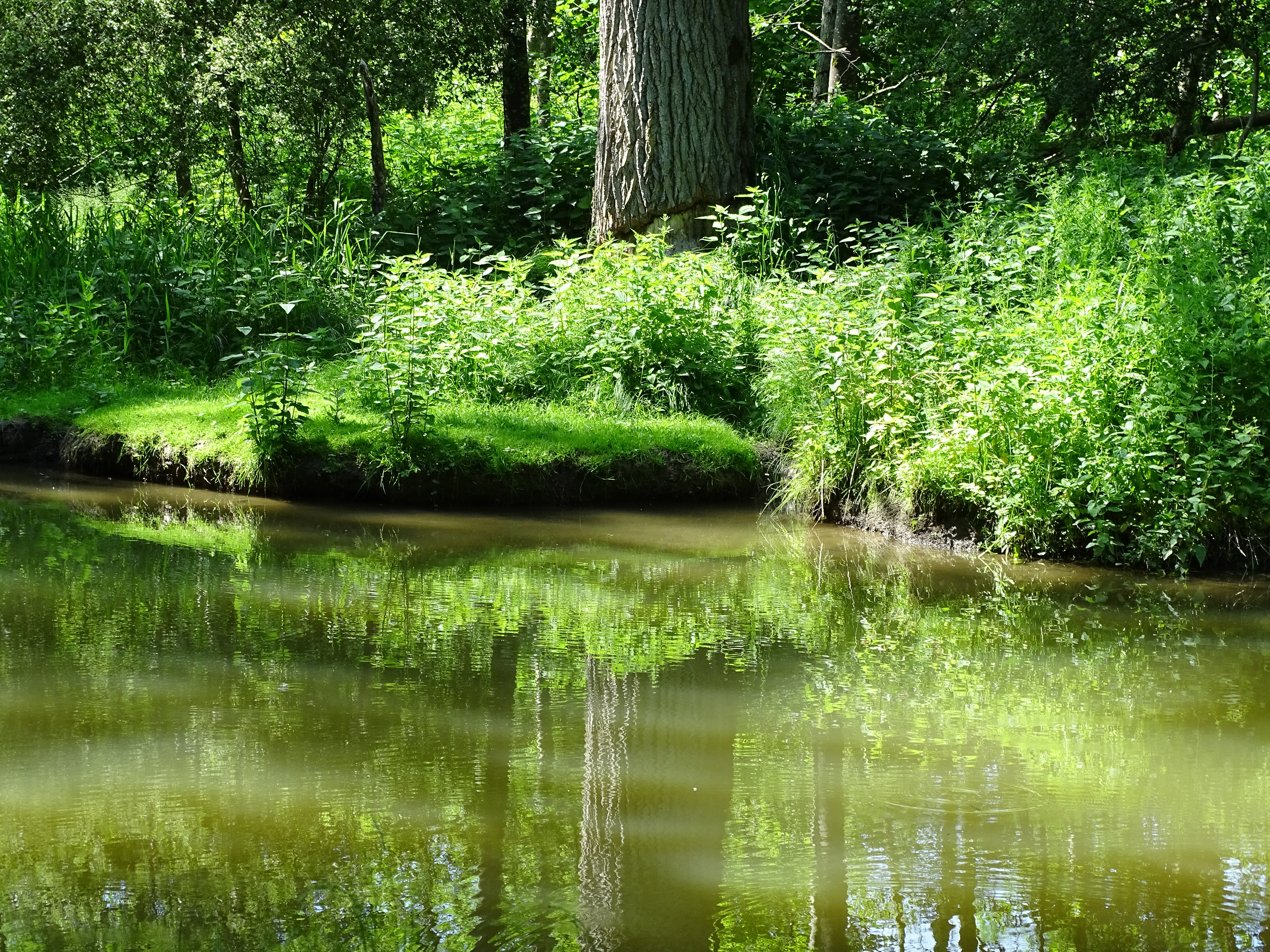 BN-Jugendgruppe "Green Earth" beim Pflanzenseminar in Eggenfelden