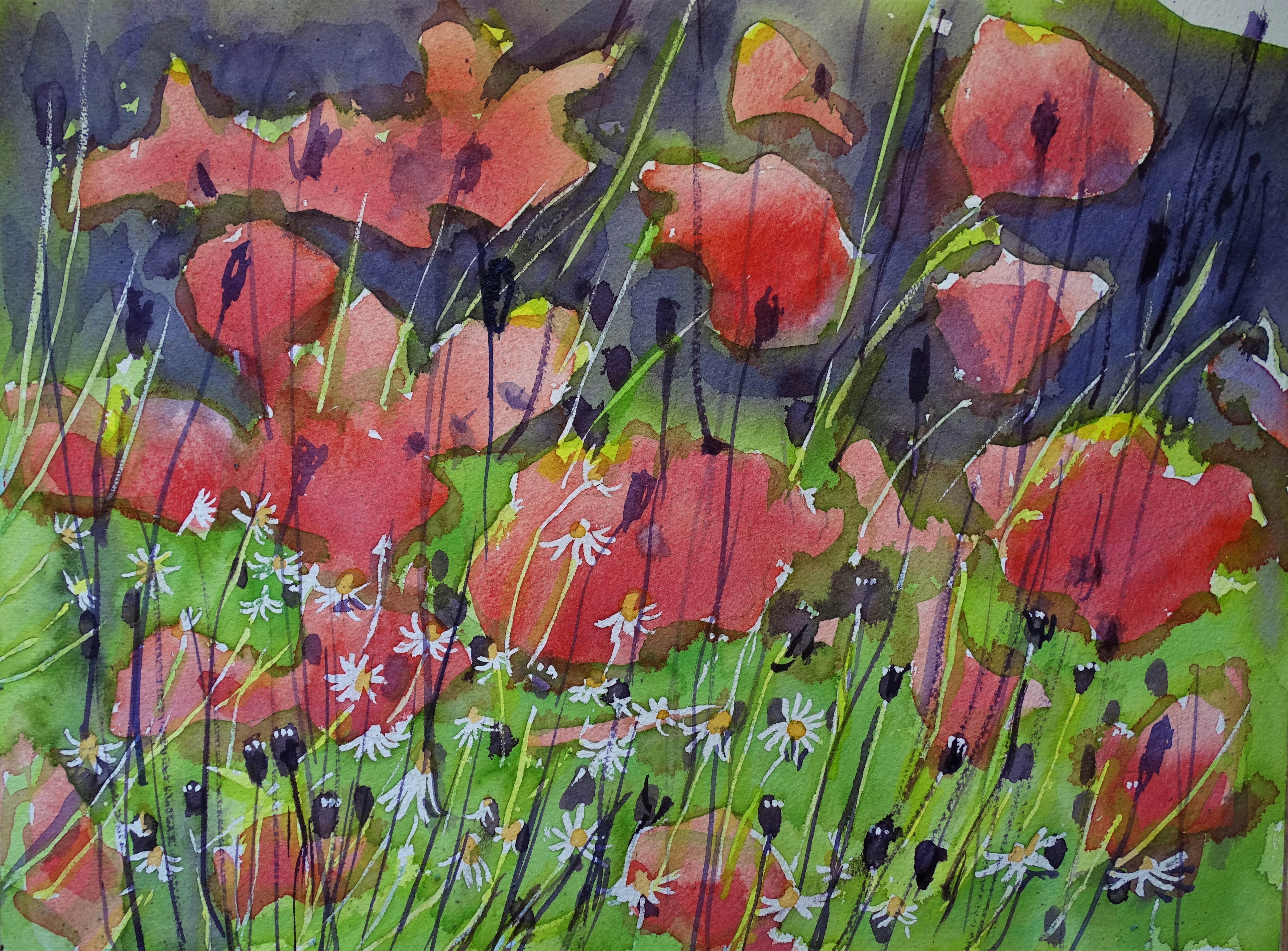 Mohnblüten - Aquarelle