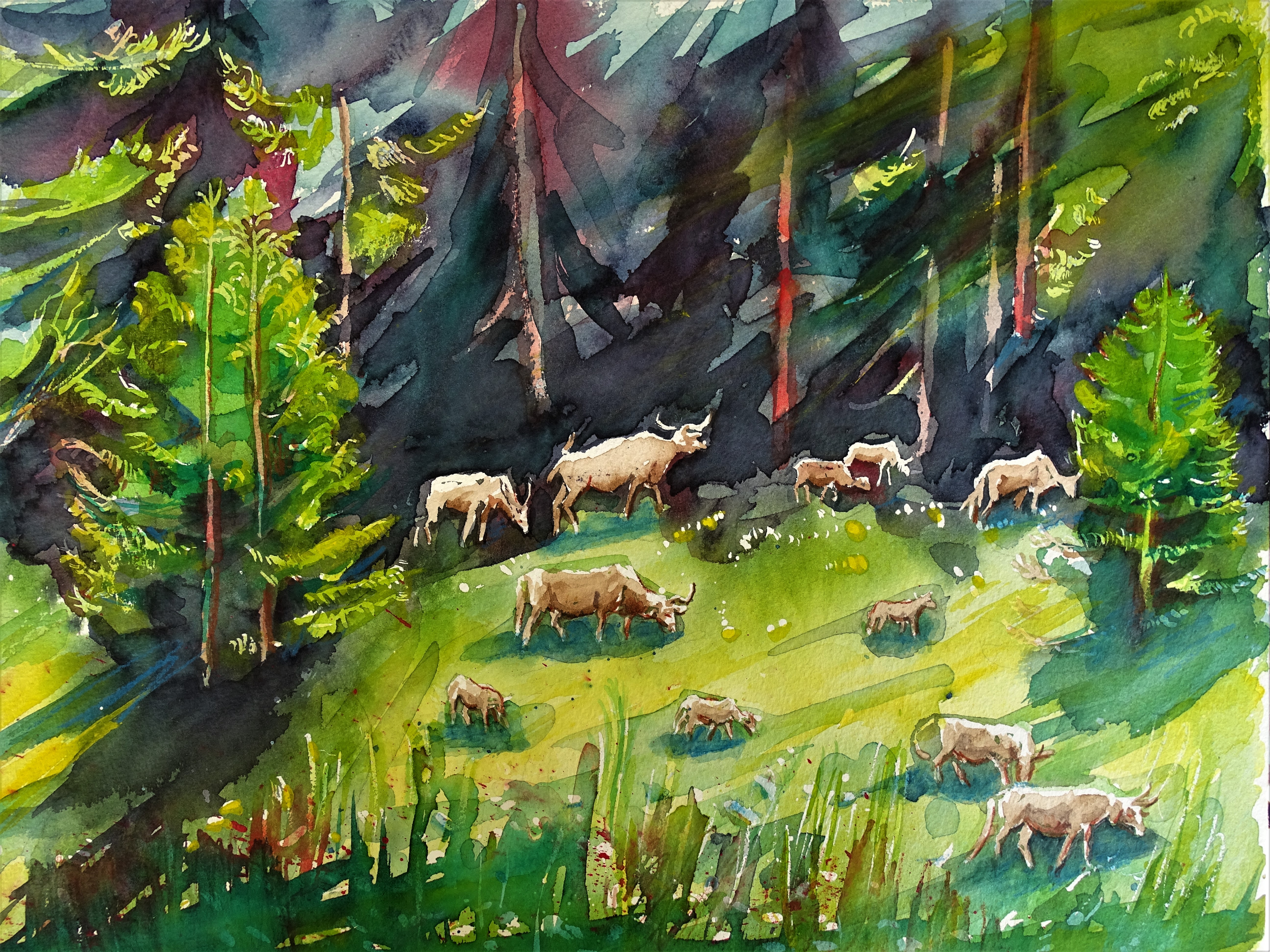 Landschaft_Sumava_Nadia_Baumgart