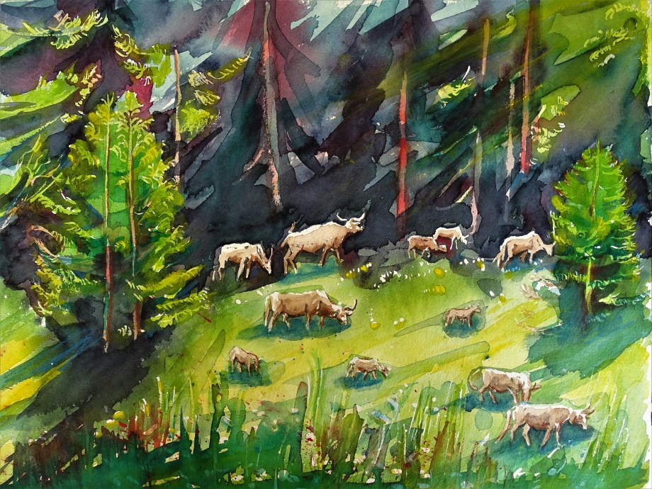 Landschaft_Sumava_Nadia_Baumgart