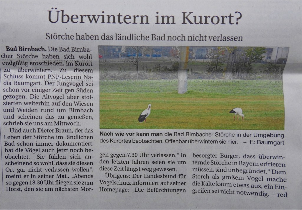 Die Birnbacher Störche
