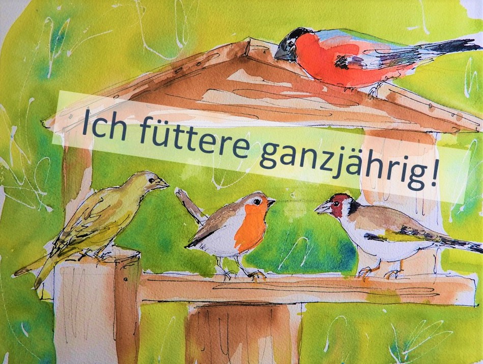 Ganzjährige Vogelfütterung in Rottal-Inn ist wichtig
